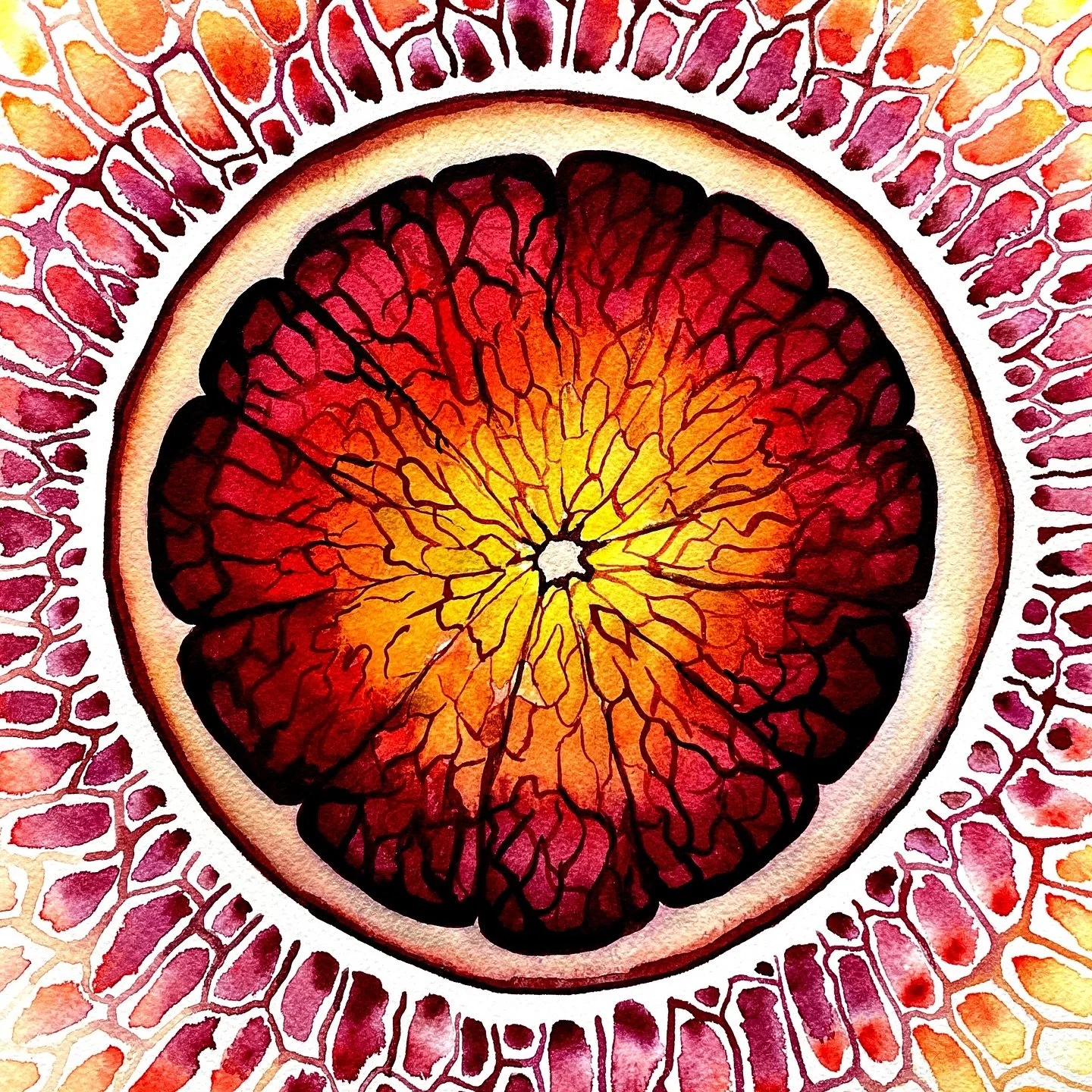 2024 Recap #1 
What a year this has been! So many transitions. New work, new home, living together with Philo ♡, starting @studio_vliegenbos with @soheila.hogervorst, studying for Holistic Hormone & Cycle Coach @cycleseeds. 
These last weeks I