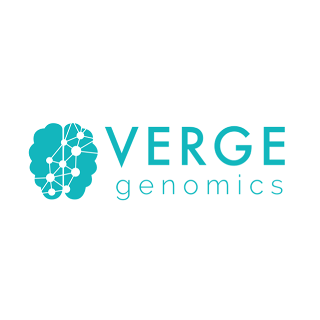 verge.png