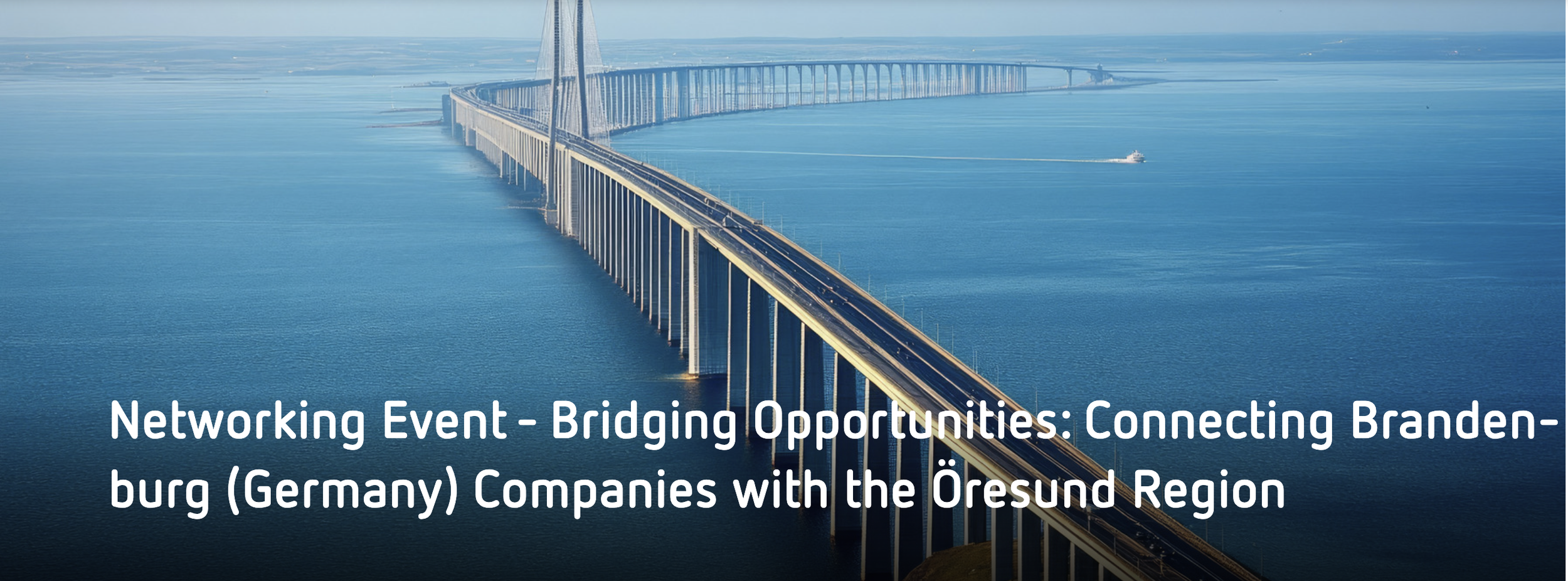 Bridging Opportunities: Connecting German Companies with the Öresund Region (ANTICIPATE Networking Event)