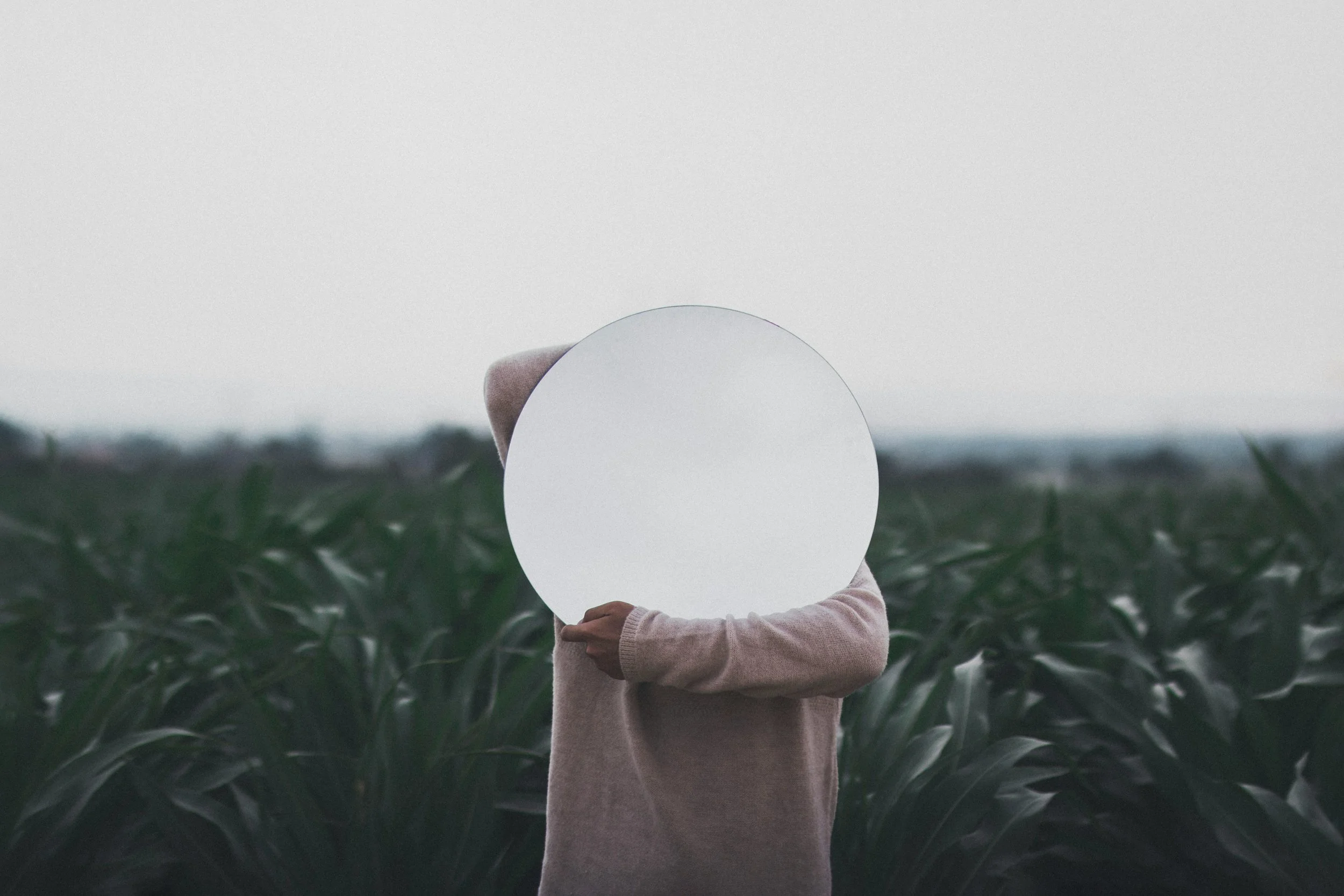 Foresight &amp; Futures Thinking for Sustainability