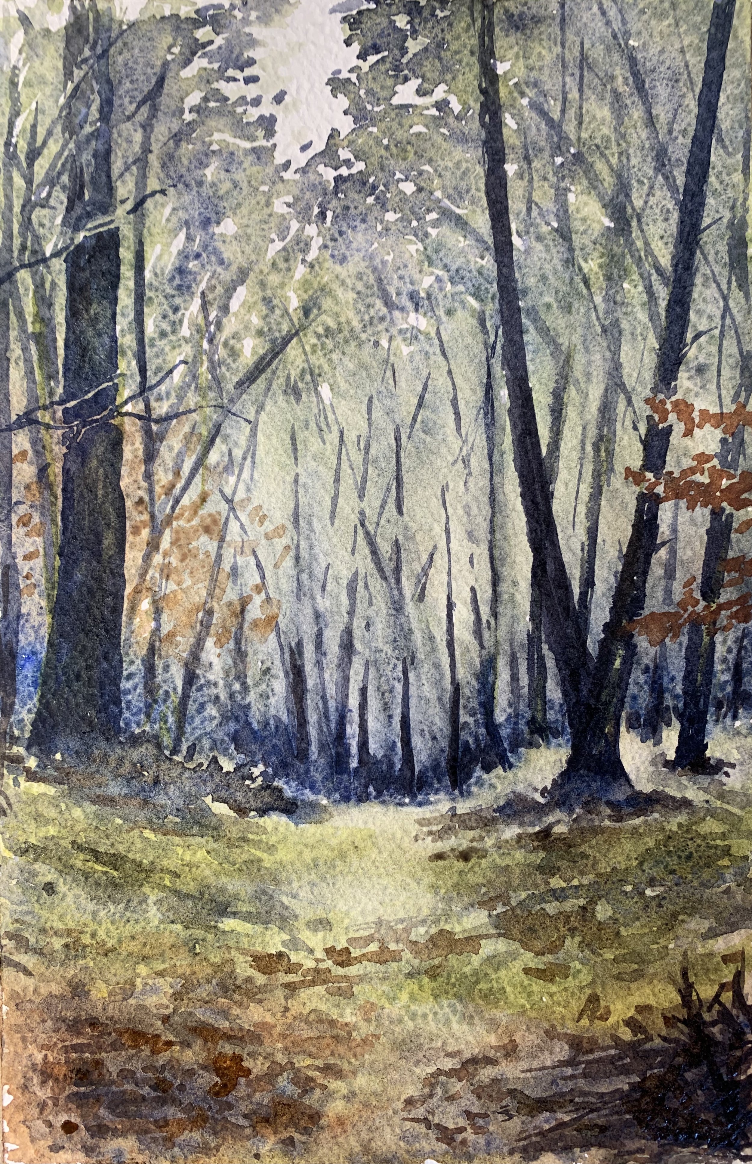 Sous-bois - Aquarelle - 15x23cm