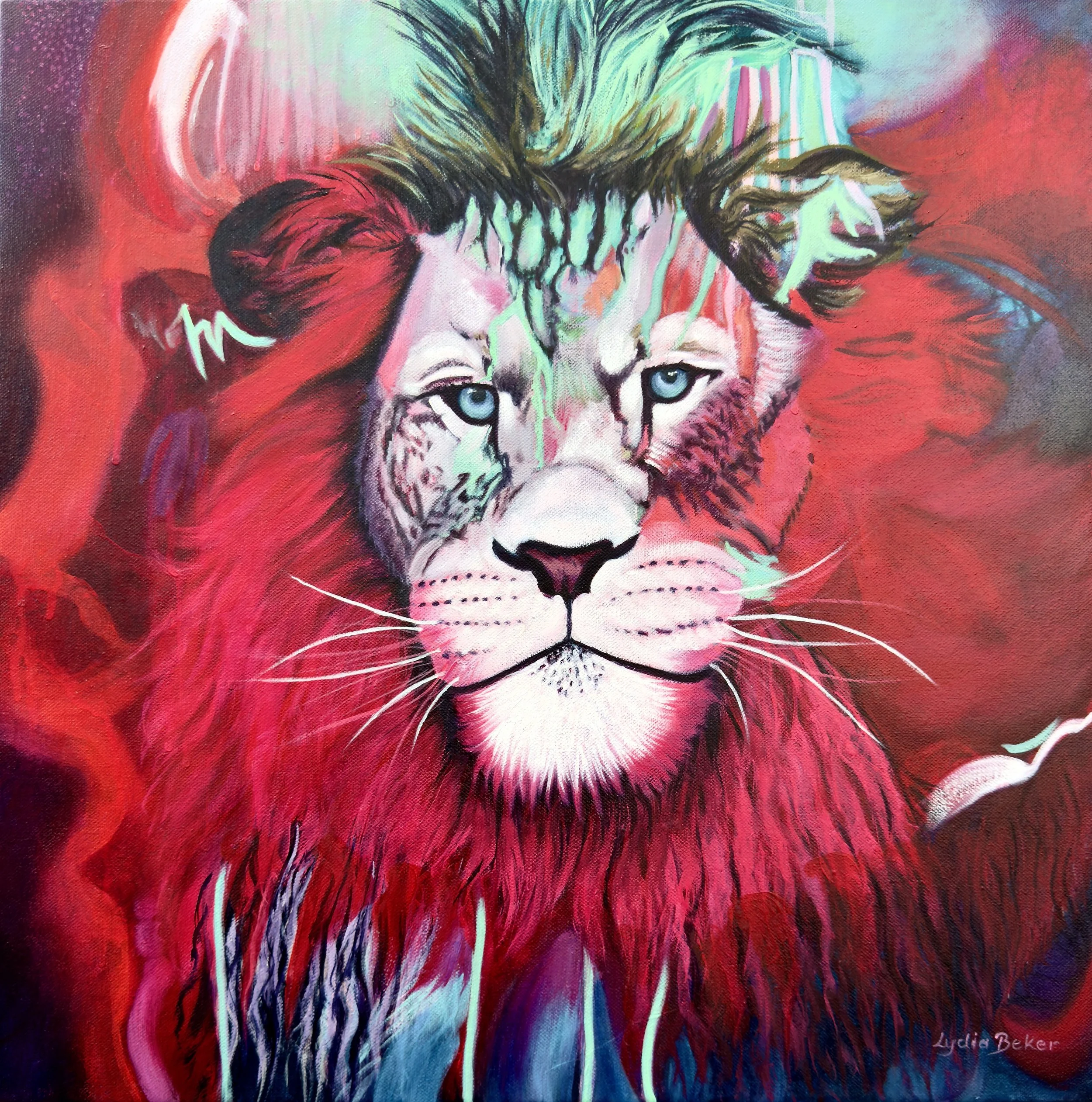 An expressive contemporary vibrant oil painting of a lion with intense blue eyes, surrounded by an explosion of red, pink, and teal colours, with expressive brush strokes and dripping paint effects by Australian artist Lydia Beker