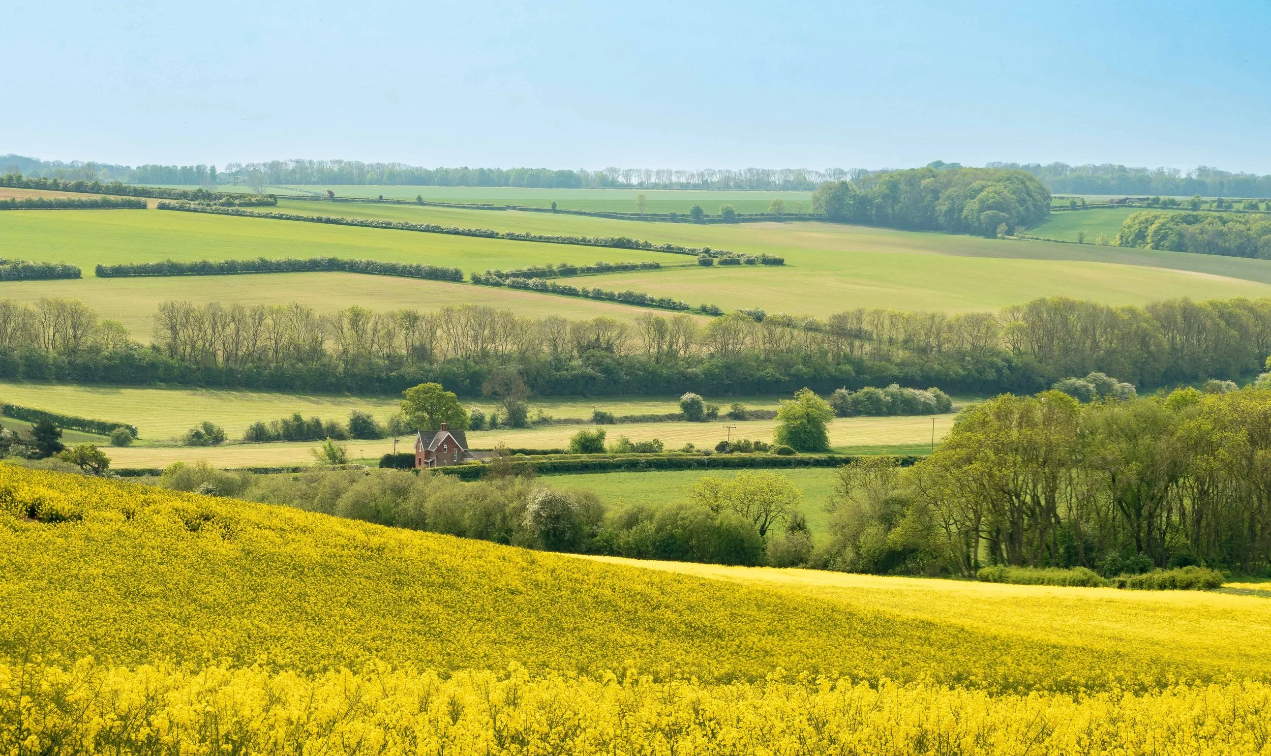 Spring on the wolds