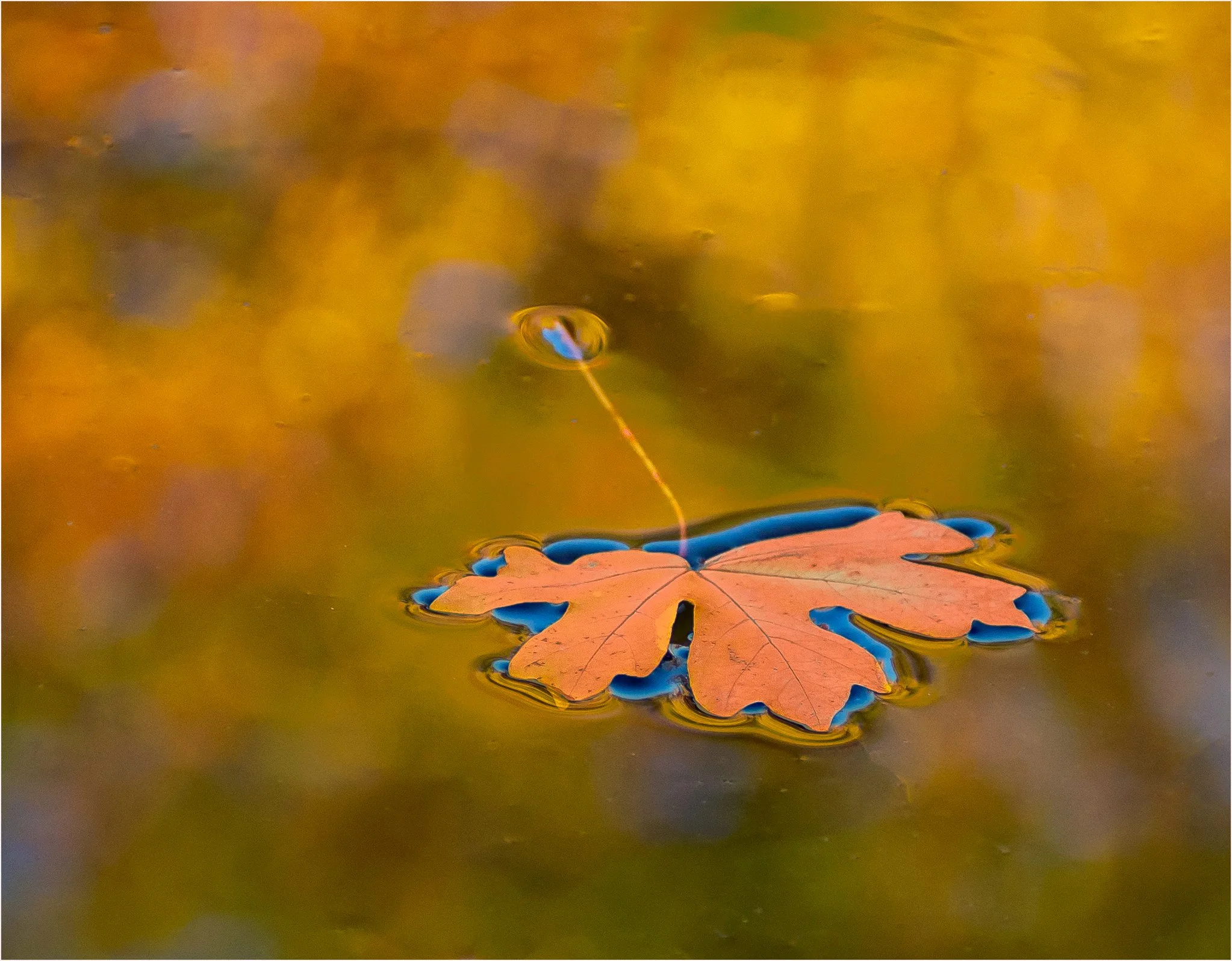 Surface Tension