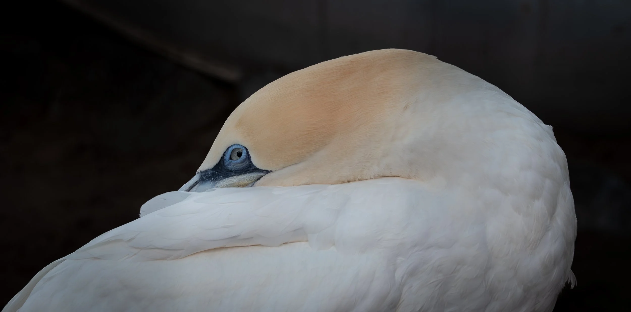 DSC_8440.jpg
