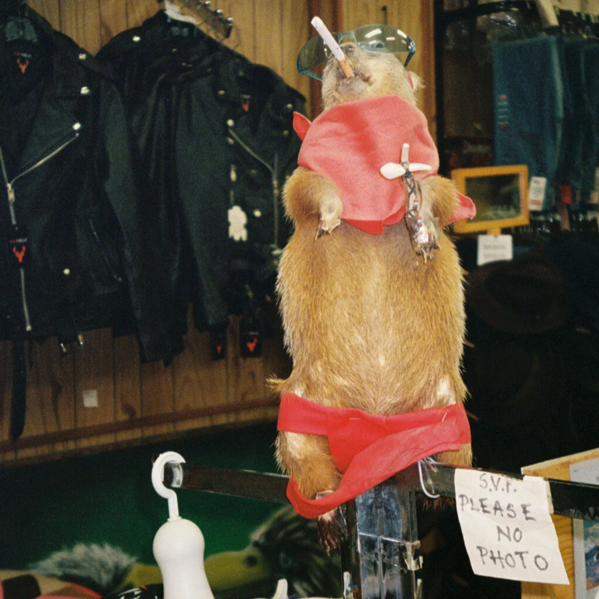 Alex Lahey "Rock and Roll Queen" - Producer/Engineer