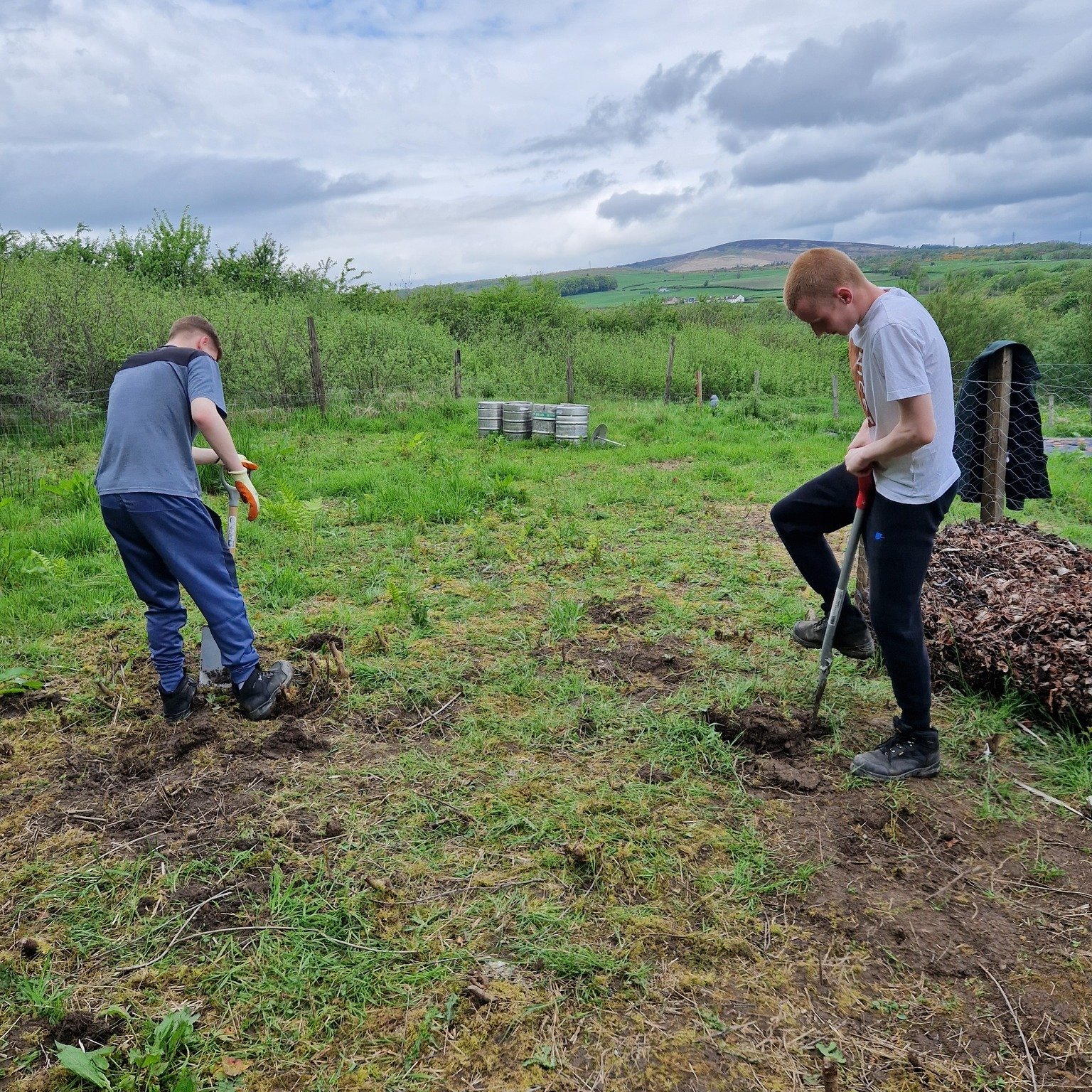 Last week, our gardening group were up at Knowetop helping lay down cardboard and wood chip which is the base for a 'no dig' potato planting area.

The young people also were tasked with making the environment safer by helping to remove tree stumps w