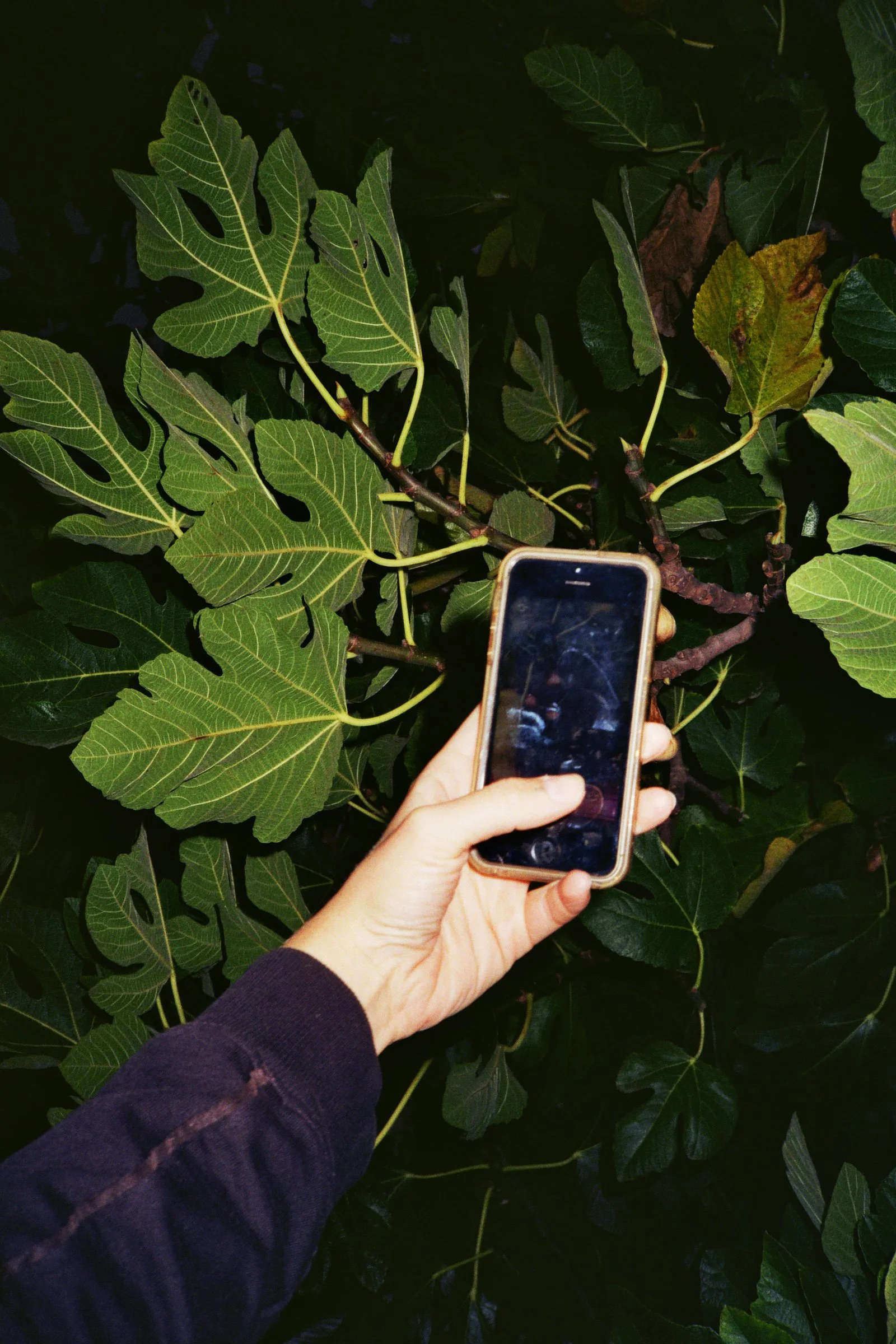 21A_00656 copy 2.jpg