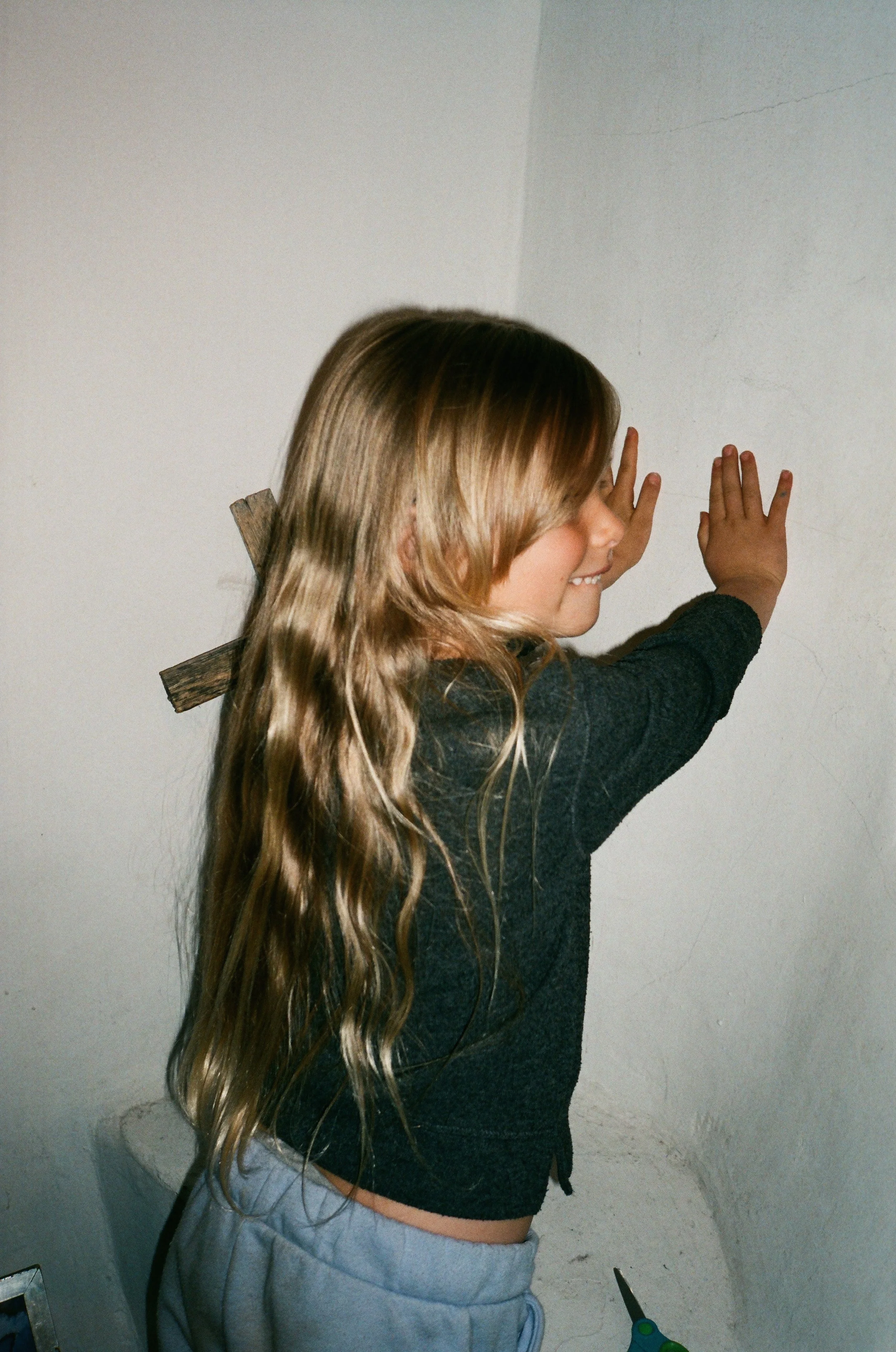 81190016.jpg
