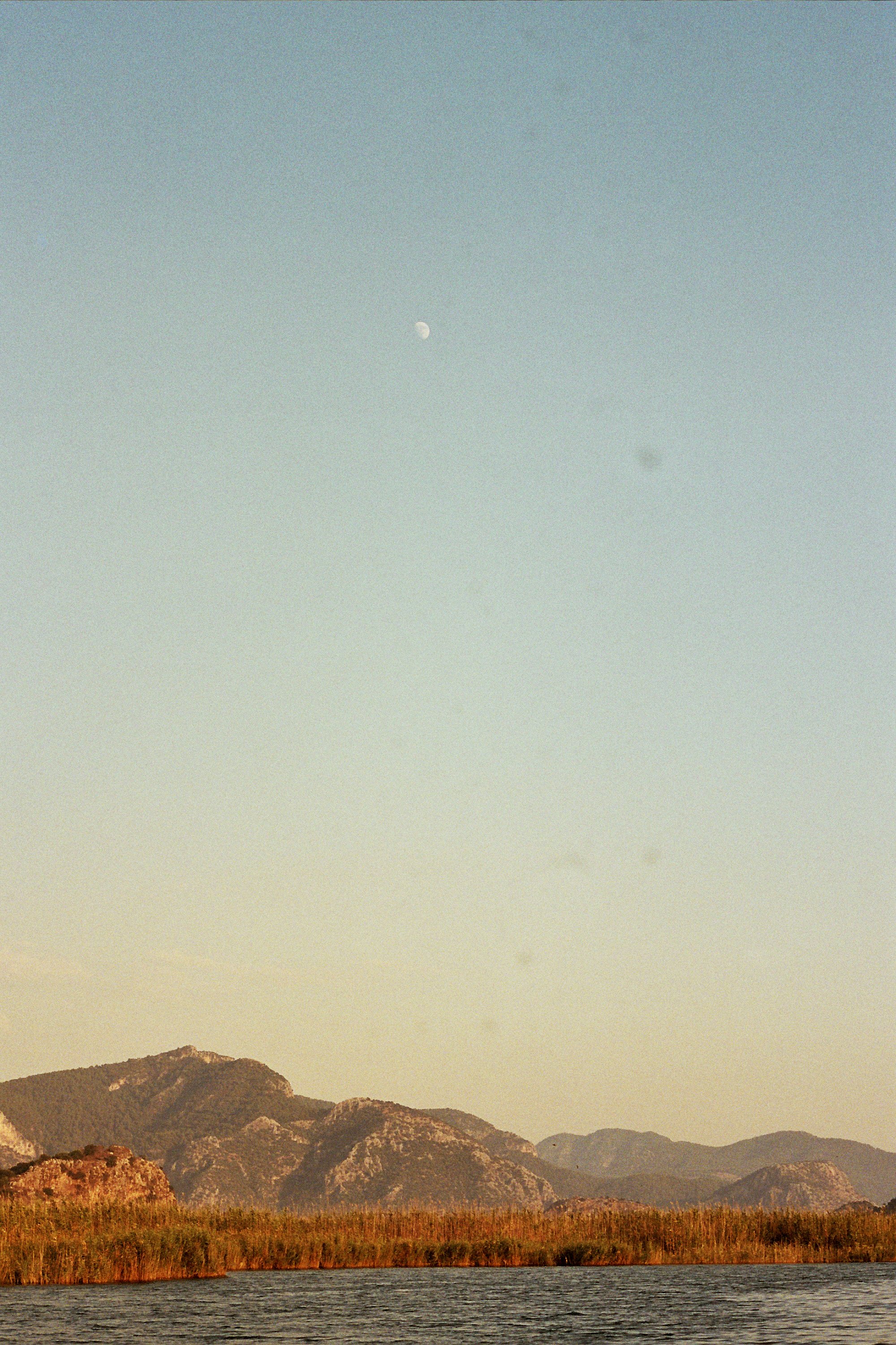 32A_0461w.jpg