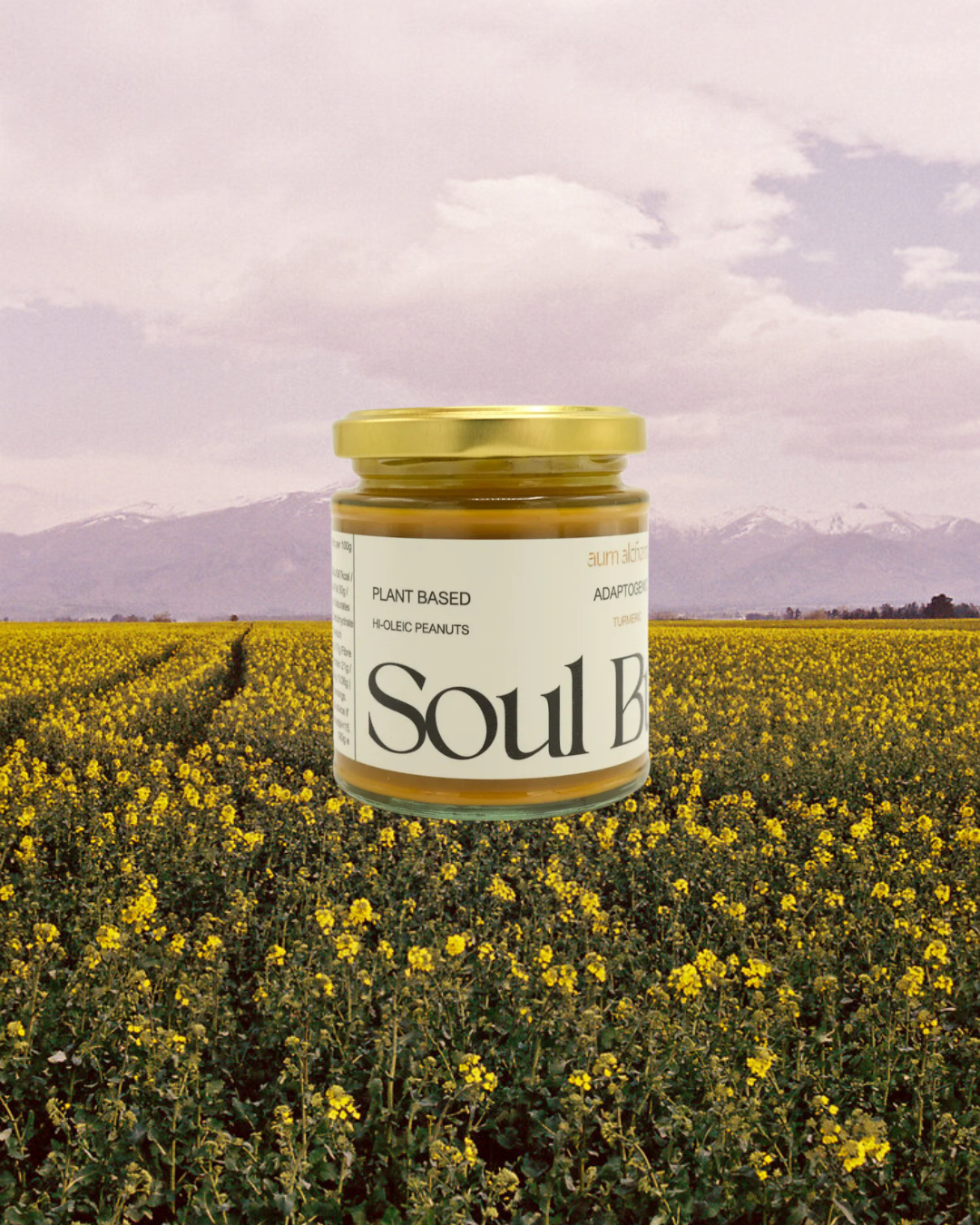 aum alchemy soul adaptogen peanut butter organic turmeric root .png