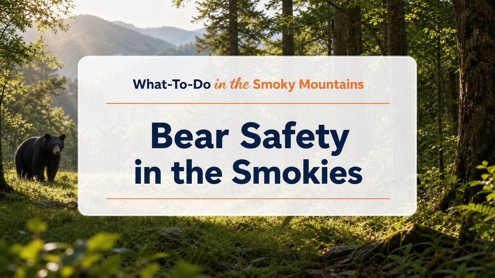 Bear Safety in the Smokies