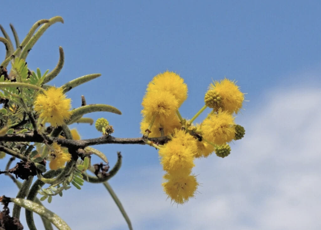 Screenshot 2023-07-04 at 16.50.49.png