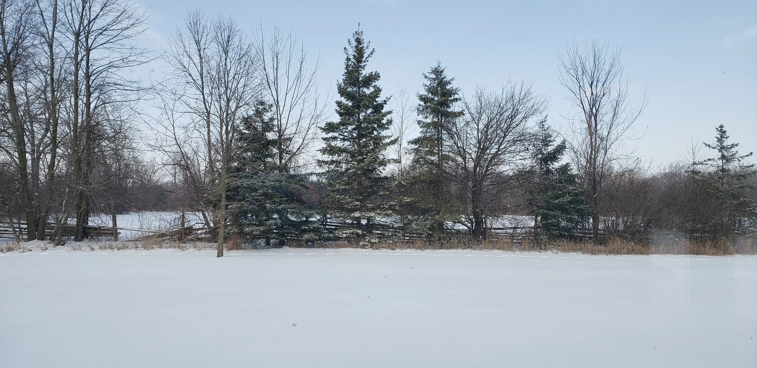 20230225_130413.jpg