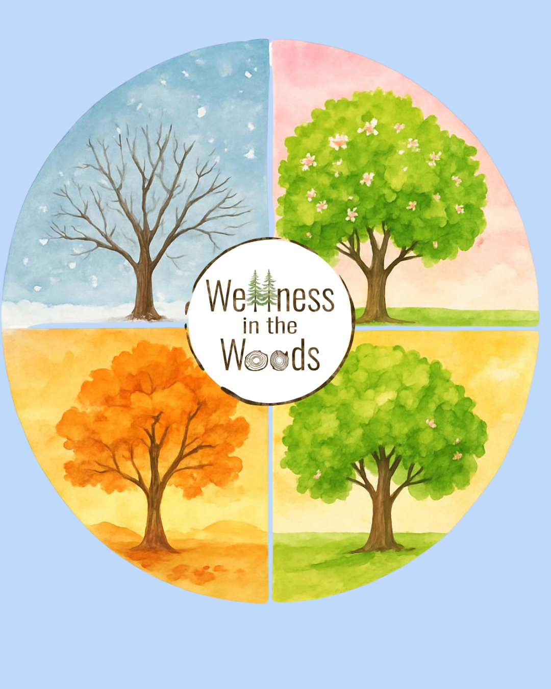 A circular illustration showing four different trees representing the four seasons: a bare winter tree, a blooming spring tree, a vibrant autumn tree, and a lush summer tree. In the center, text reads 'Wilderness in the Woods' with stylized trees and wood textures.