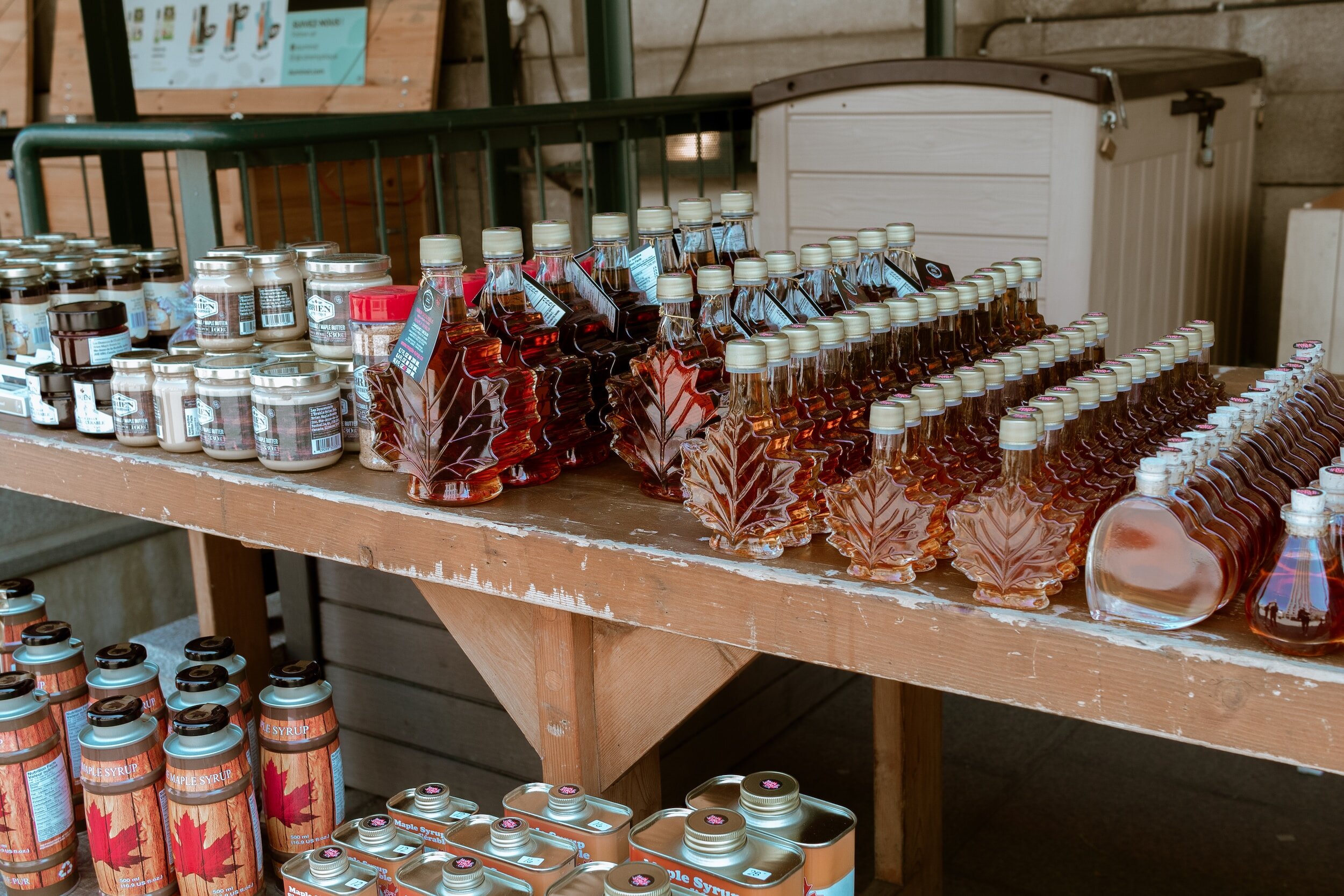 Maple Syrup farm