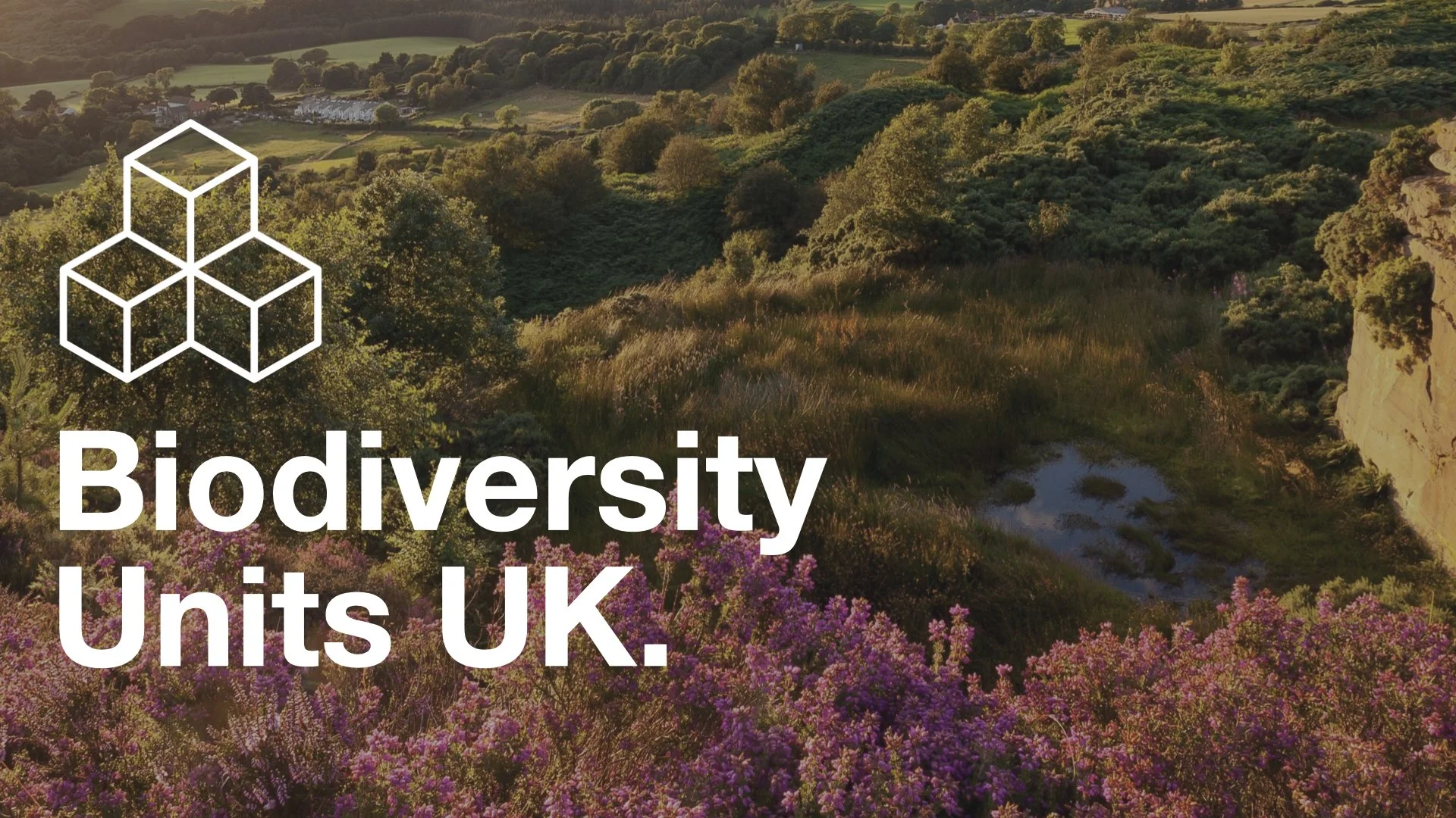 Biodiversity Units UK