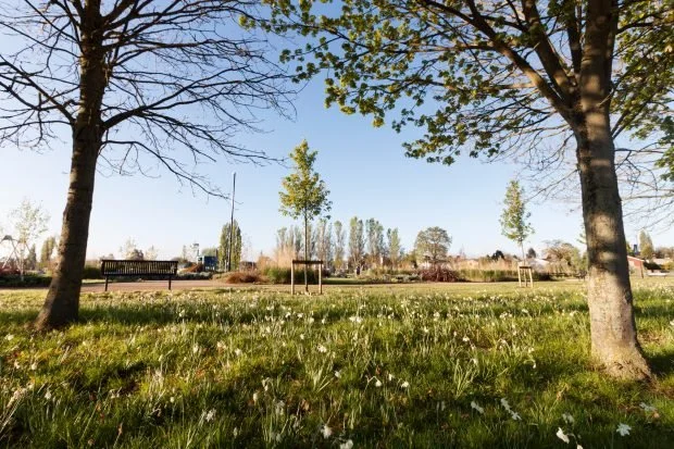 The Perils of Ignoring Biodiversity Net Gain Legislation: A Wake-up Call for UK Commercial Property Developers
