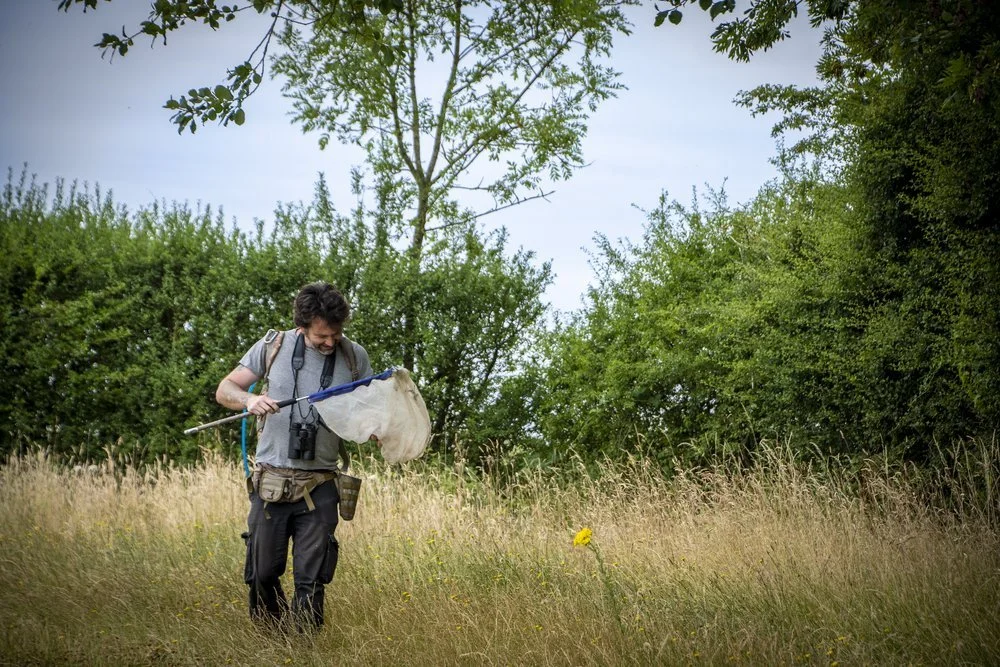 Boothby Wildlands - Site Introduction