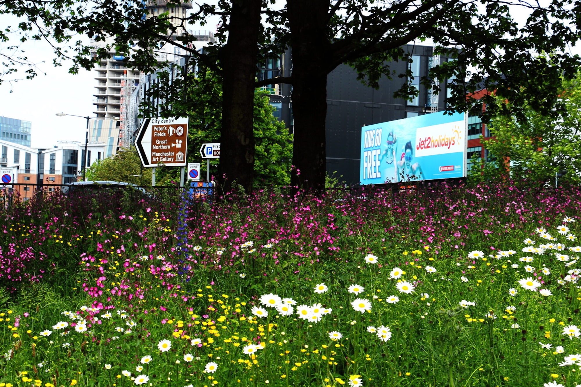 Biodiversity Net Gain - The new legislation &amp; what it means for your development?