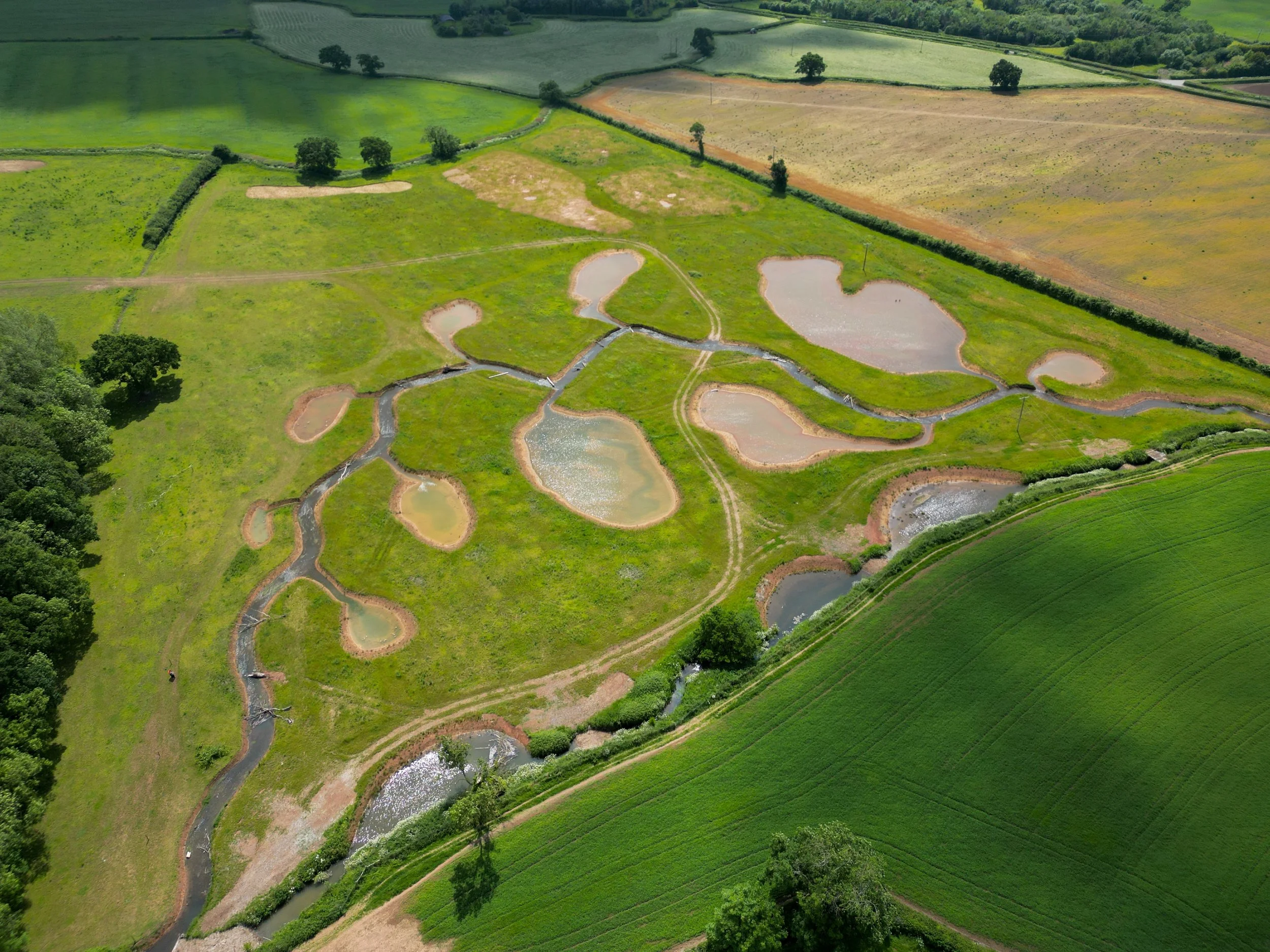 DJI_0999 - Henry Rossiter.jpg