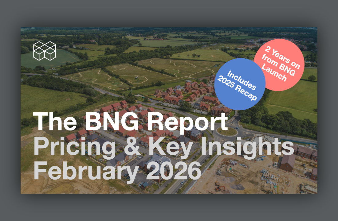 BNG Pricing Report February 2026: Two Years On