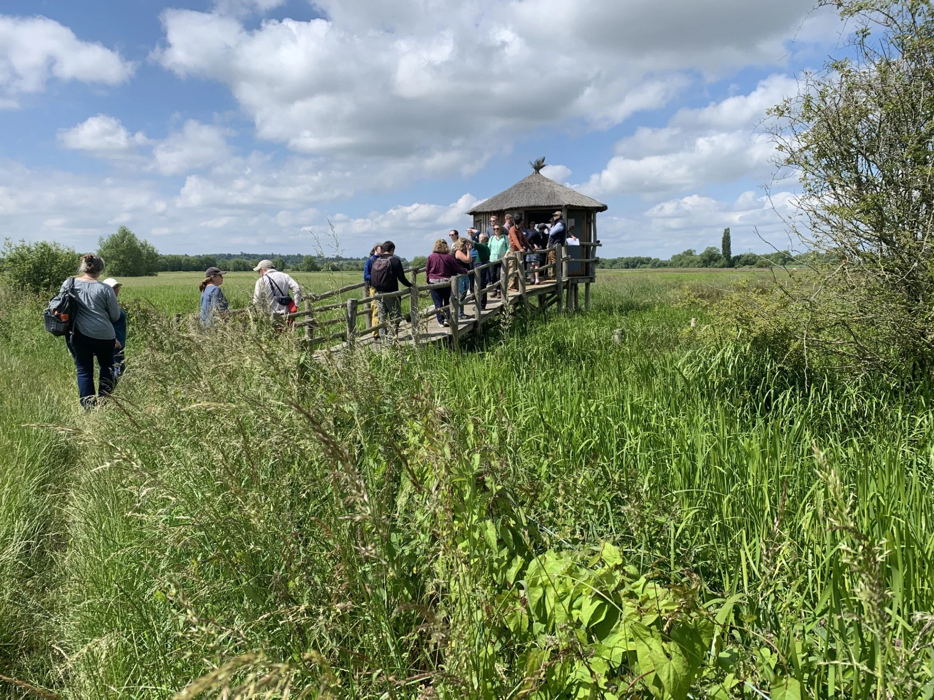 What Are Biodiversity Net Gain Services and Why Are They Essential in the UK?