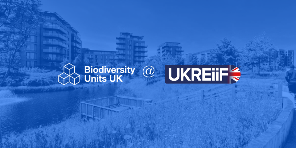 We're going to UKREiiF… 