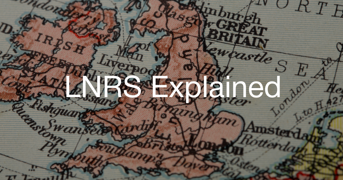 What the LNRS Changes Actually Mean for Off-Site BNG