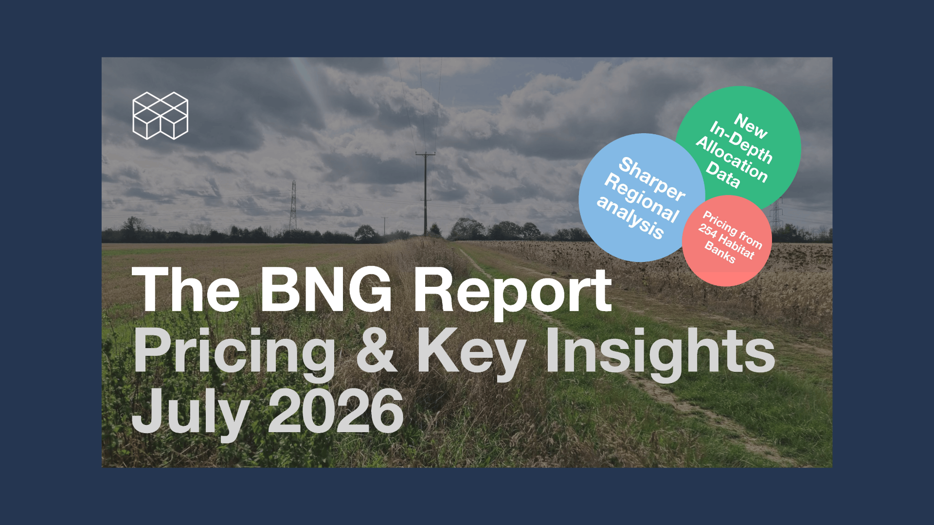 The BNG Market’s £100m Milestone - What It Means For You