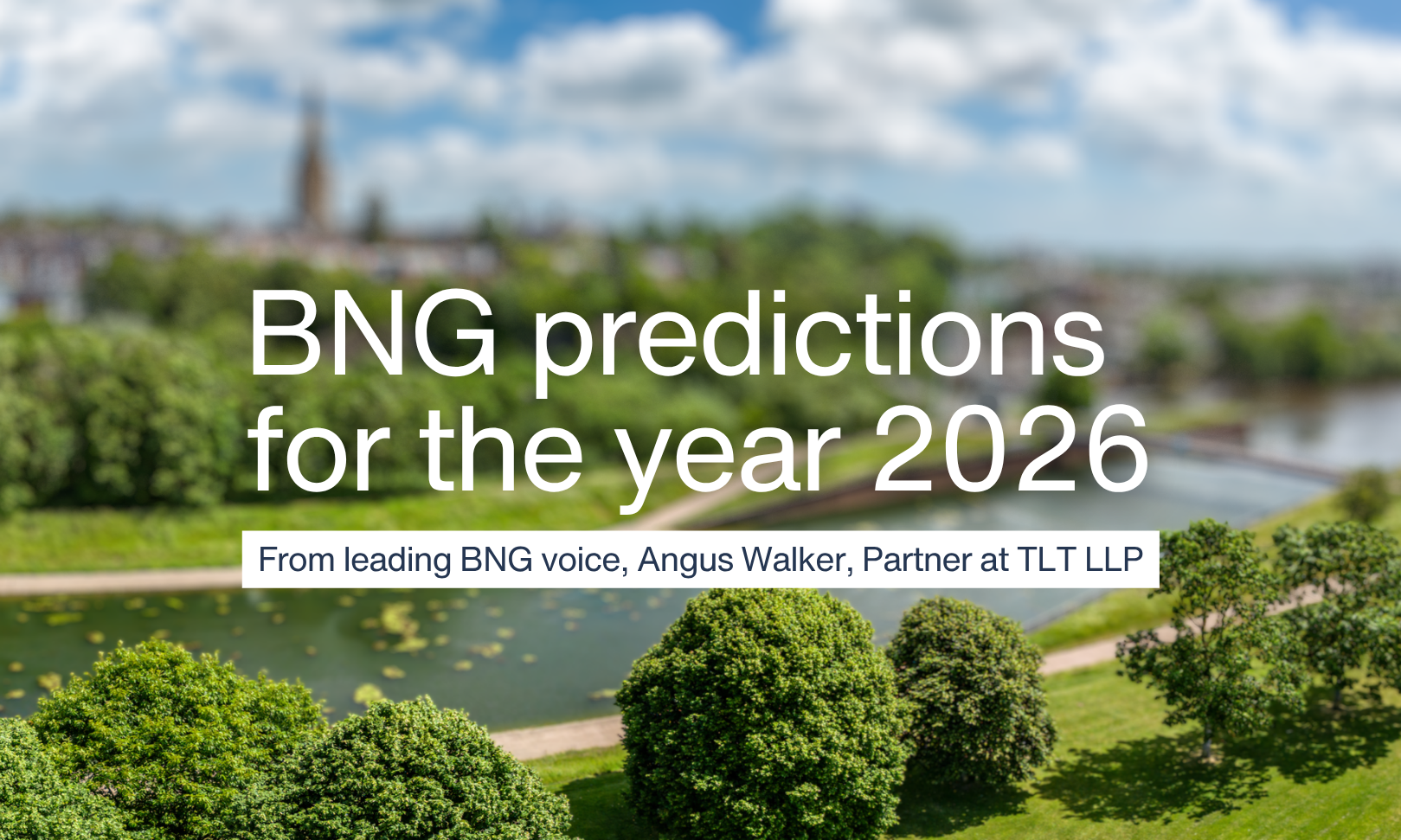 The Rest of 2026: Angus Walker’s View