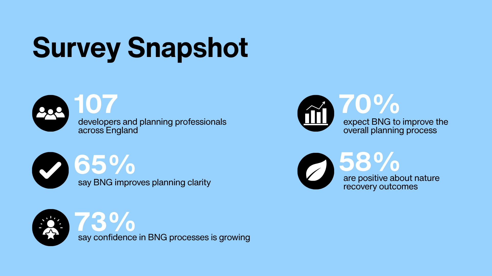 BNG Experience Survey 2026 snapshot