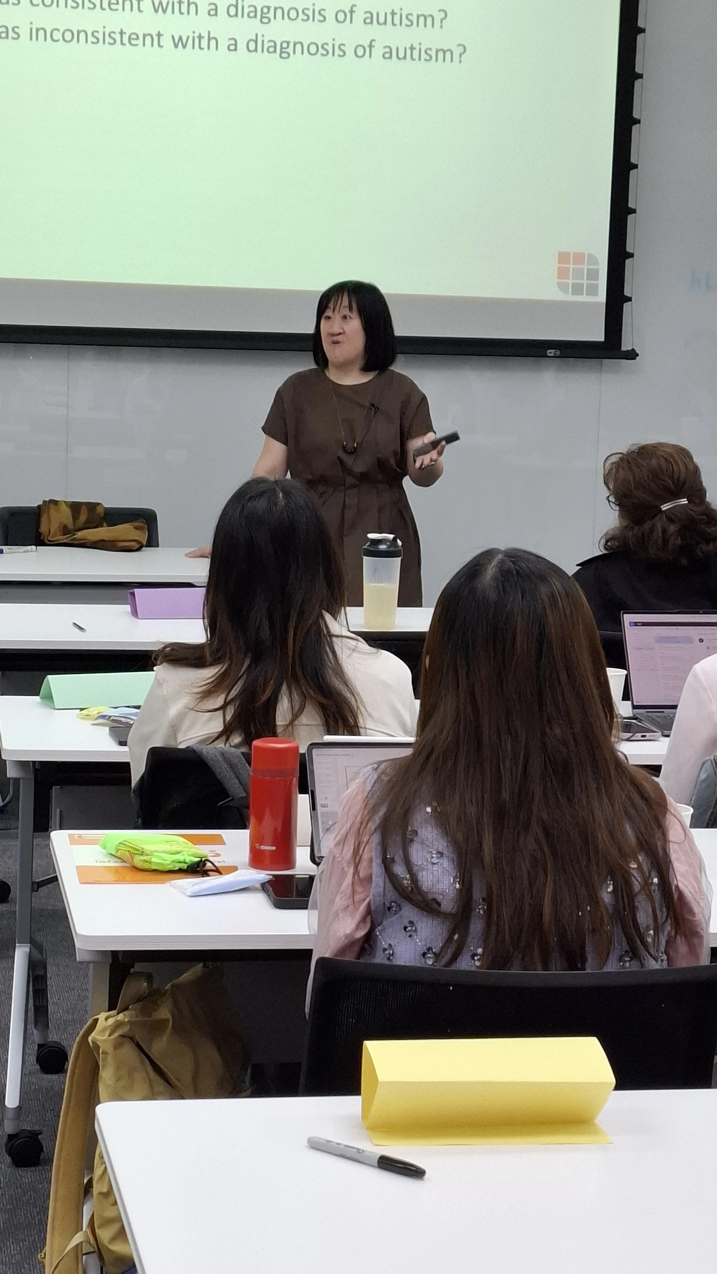 'DIR Floortime 101 Course' by Dr Eunice Lee in January 2026