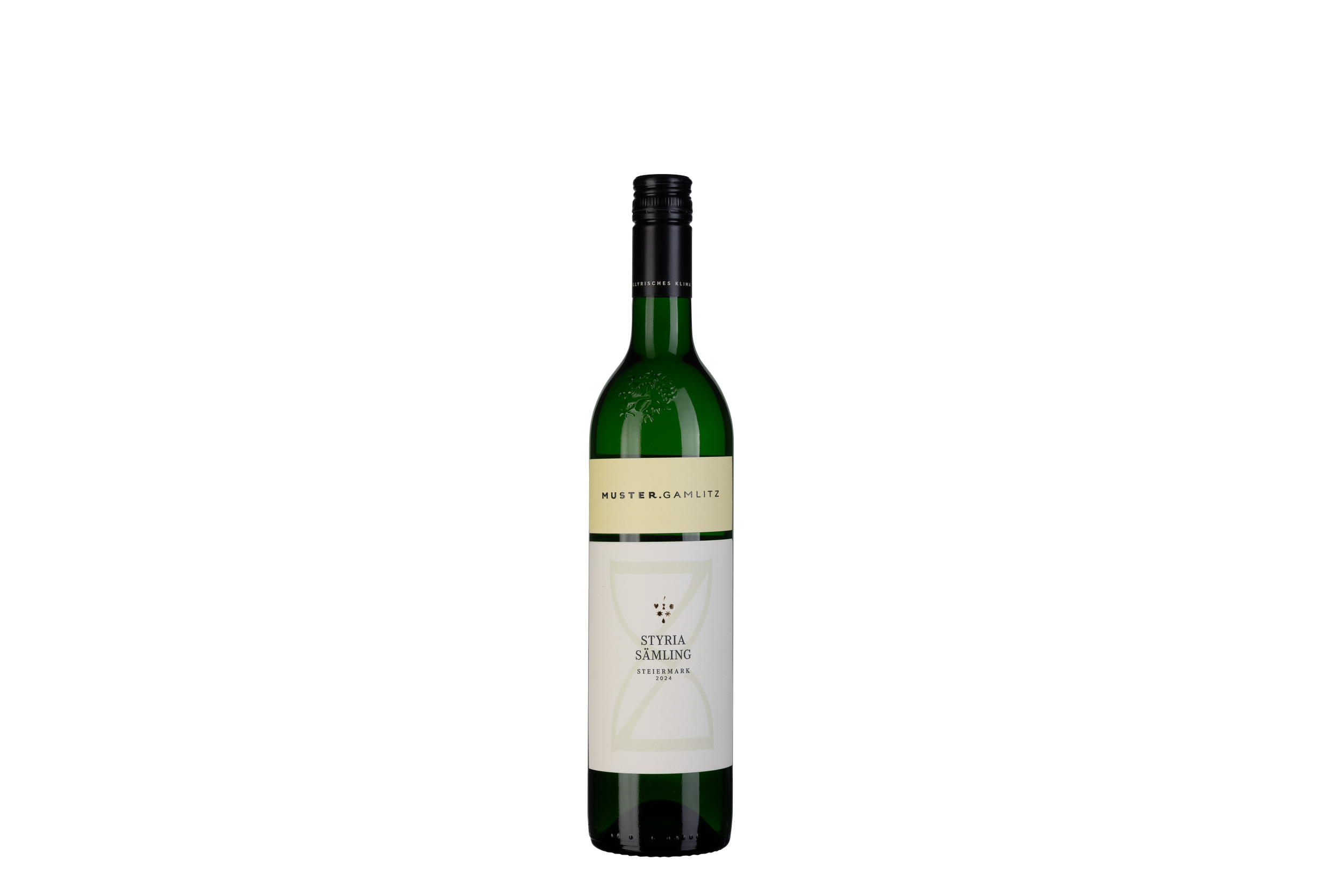 SÄ Styria 2024 neues Design.png