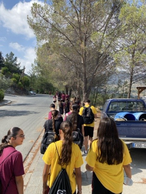 Mittel (IMG_5497).jpeg