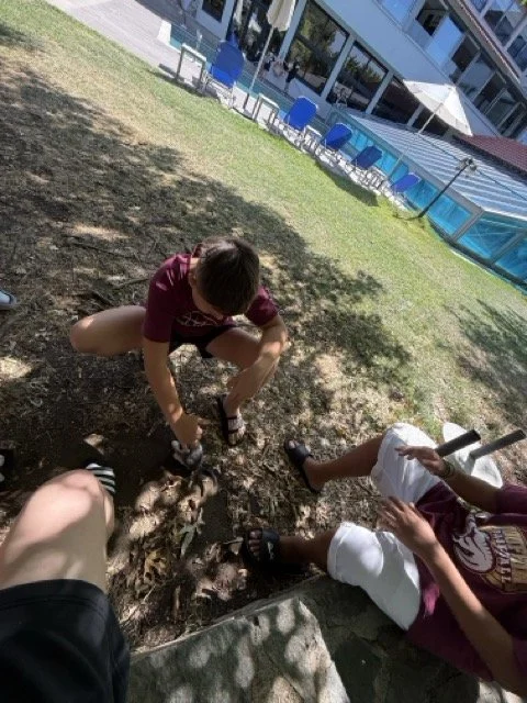 Mittel (IMG_2217).jpeg