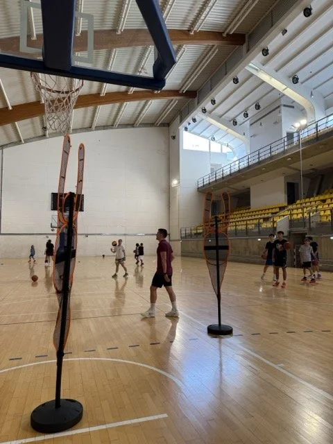 Mittel (IMG_1999).jpeg