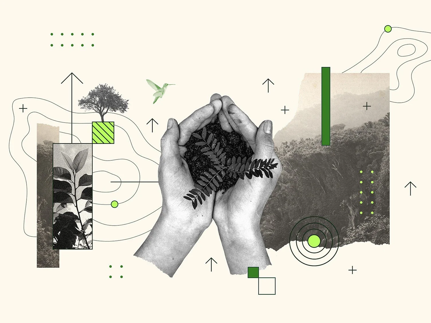 Planning & Systematizing NbS