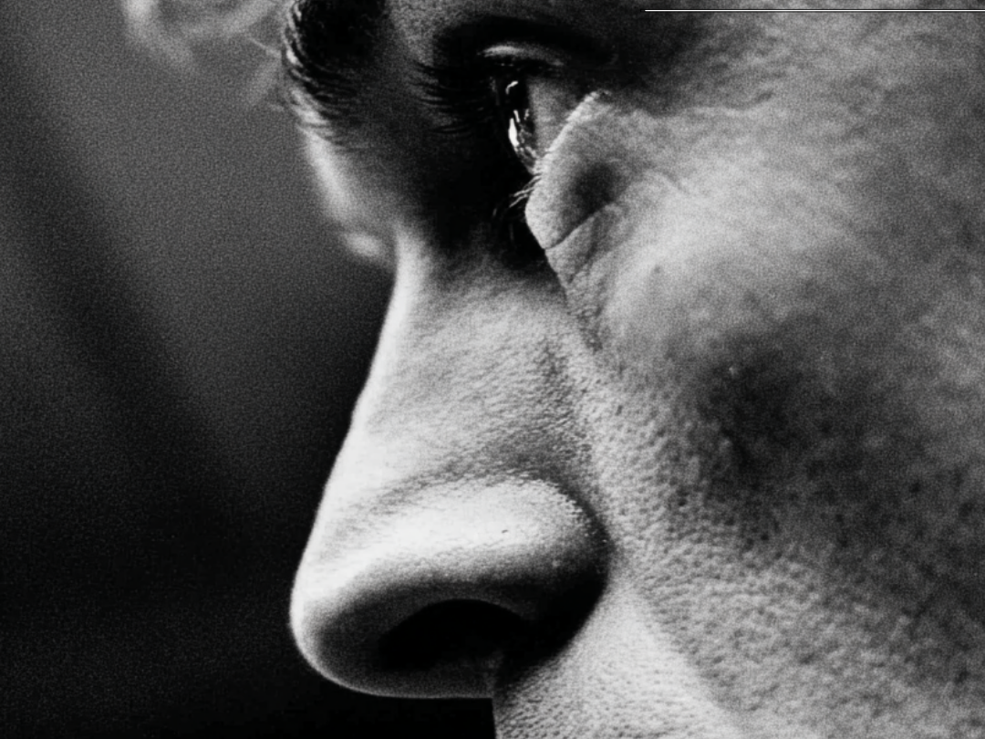 QUALIA INTEL FEATURED PIECE.