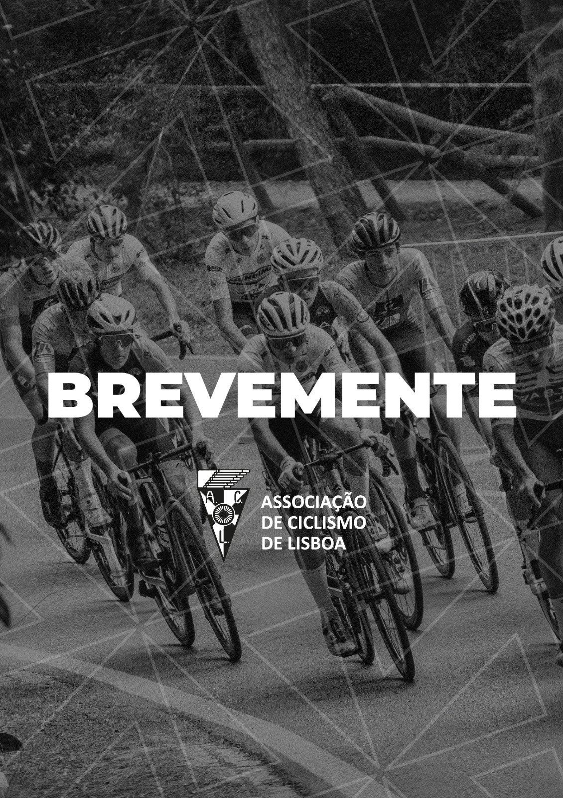 XLI Circuito de Matos Cheirinhos - Troféu Diogo Bicho