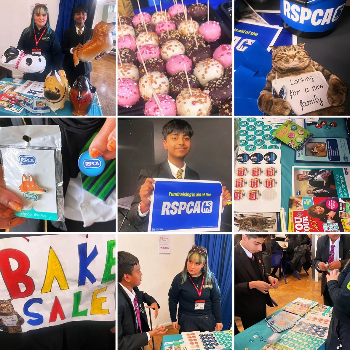 The Ones We Don’t See - Supporting Animal Welfare at Featherstone High School