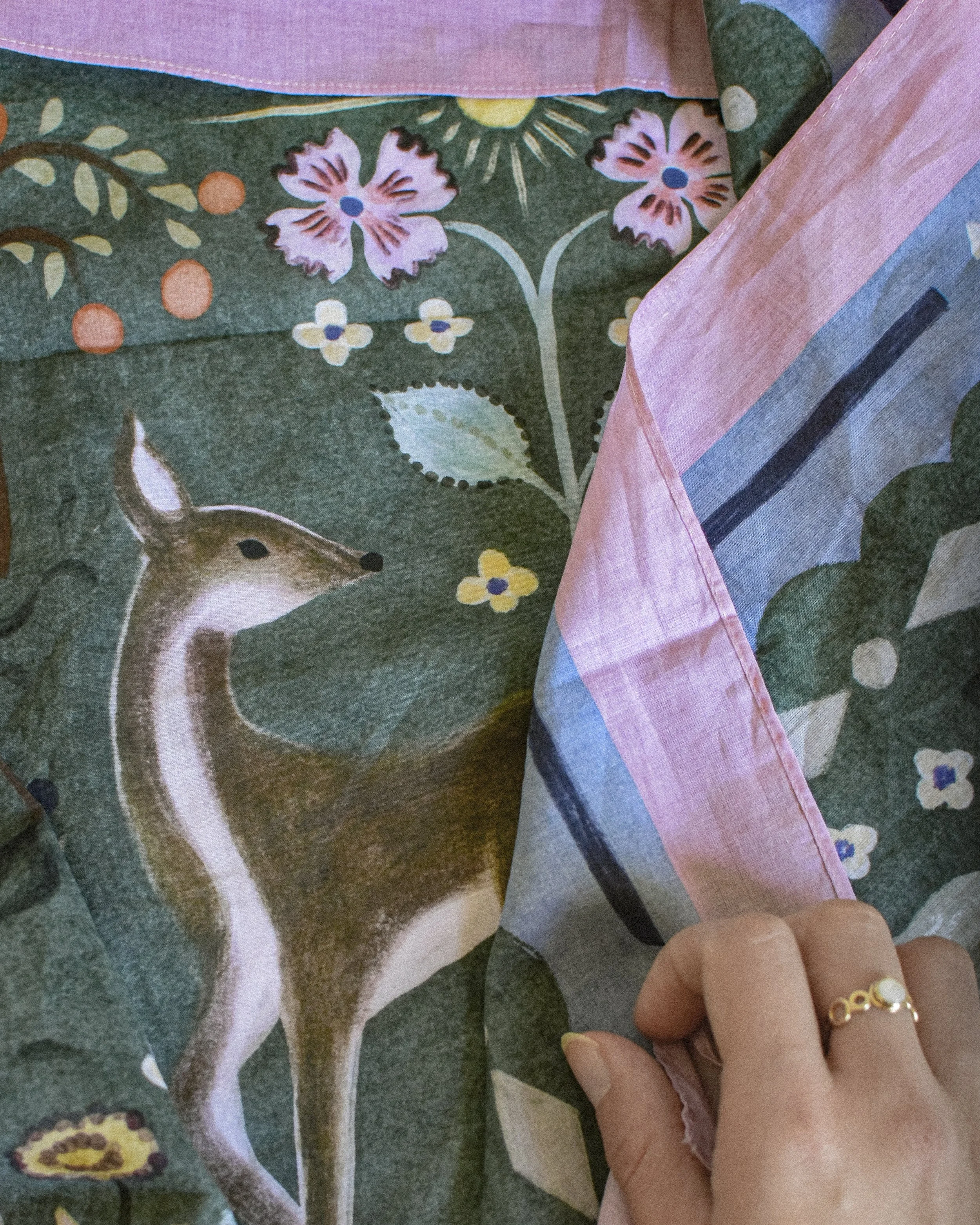 15042026-DSC_0012 (2).jpg