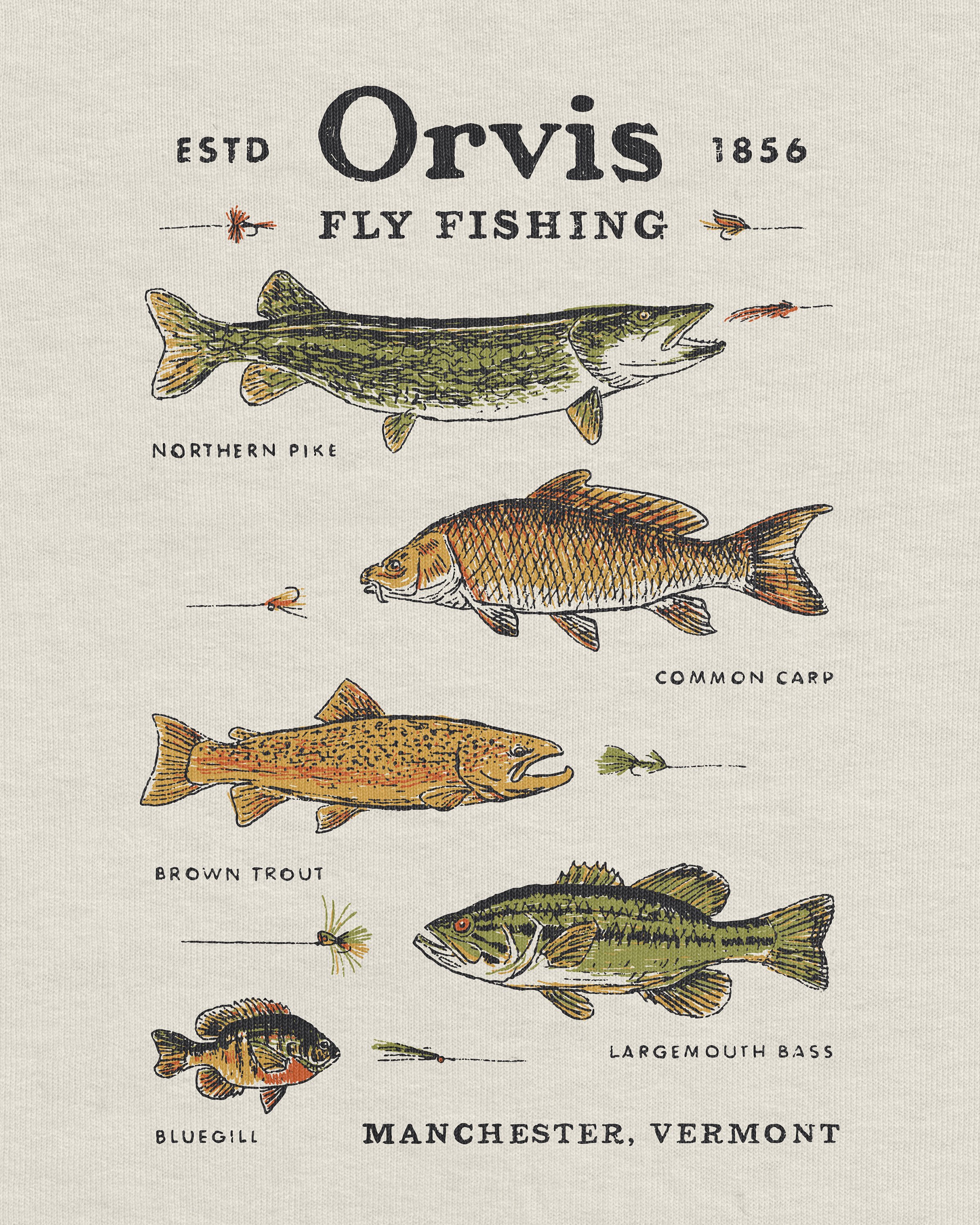 Orvis_6.jpg