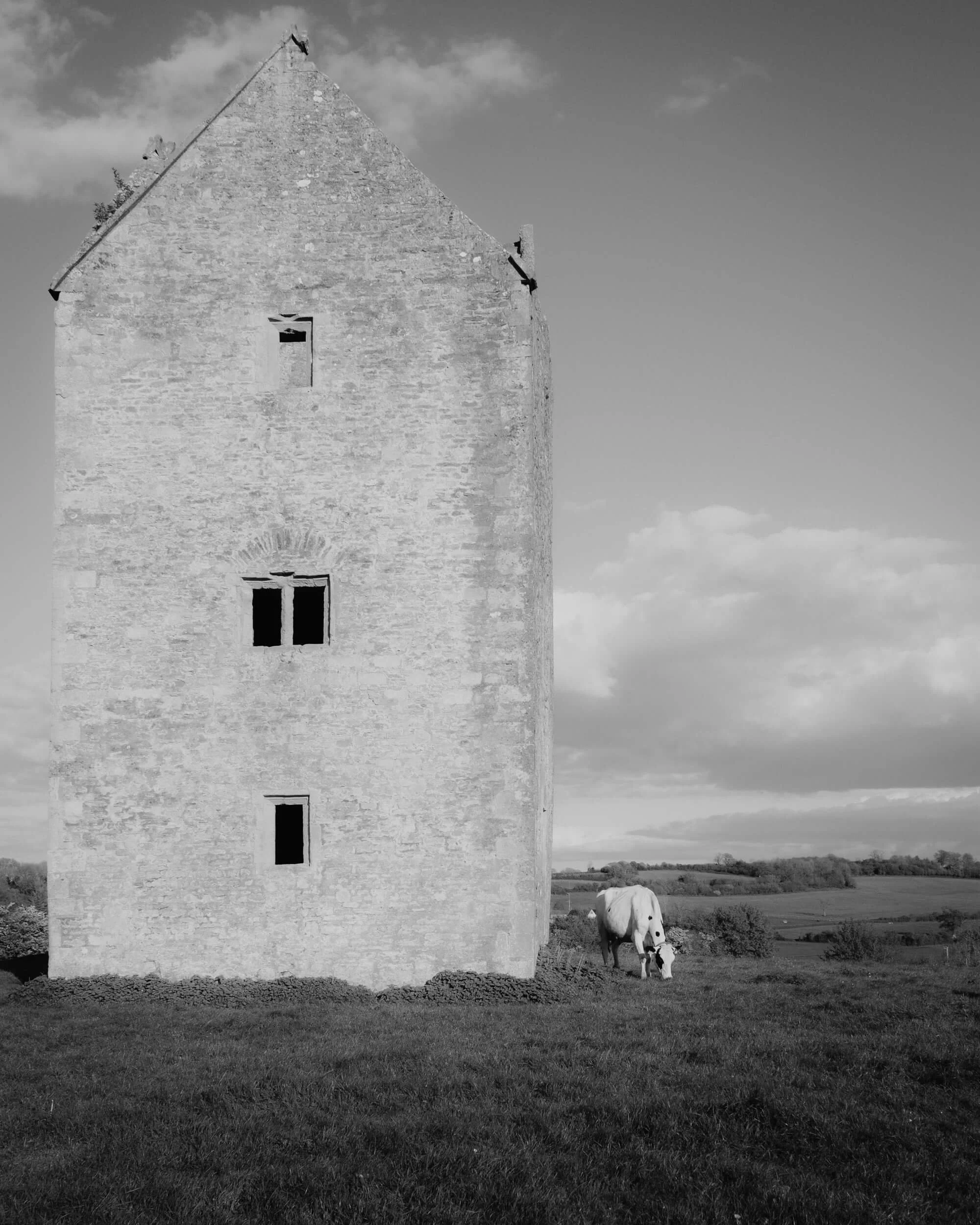 bruton-9.jpg