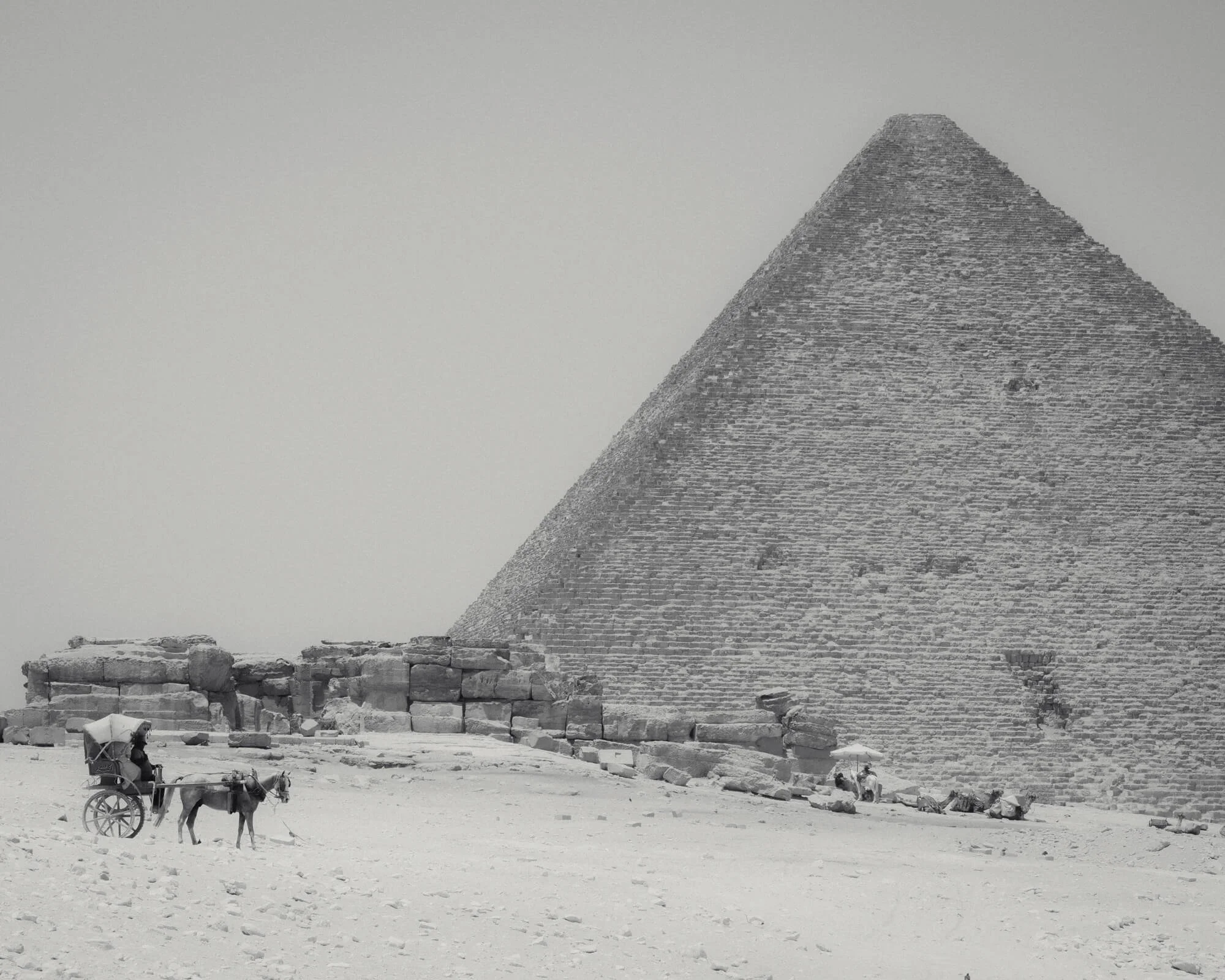 pyramid-horse-cairo.jpg