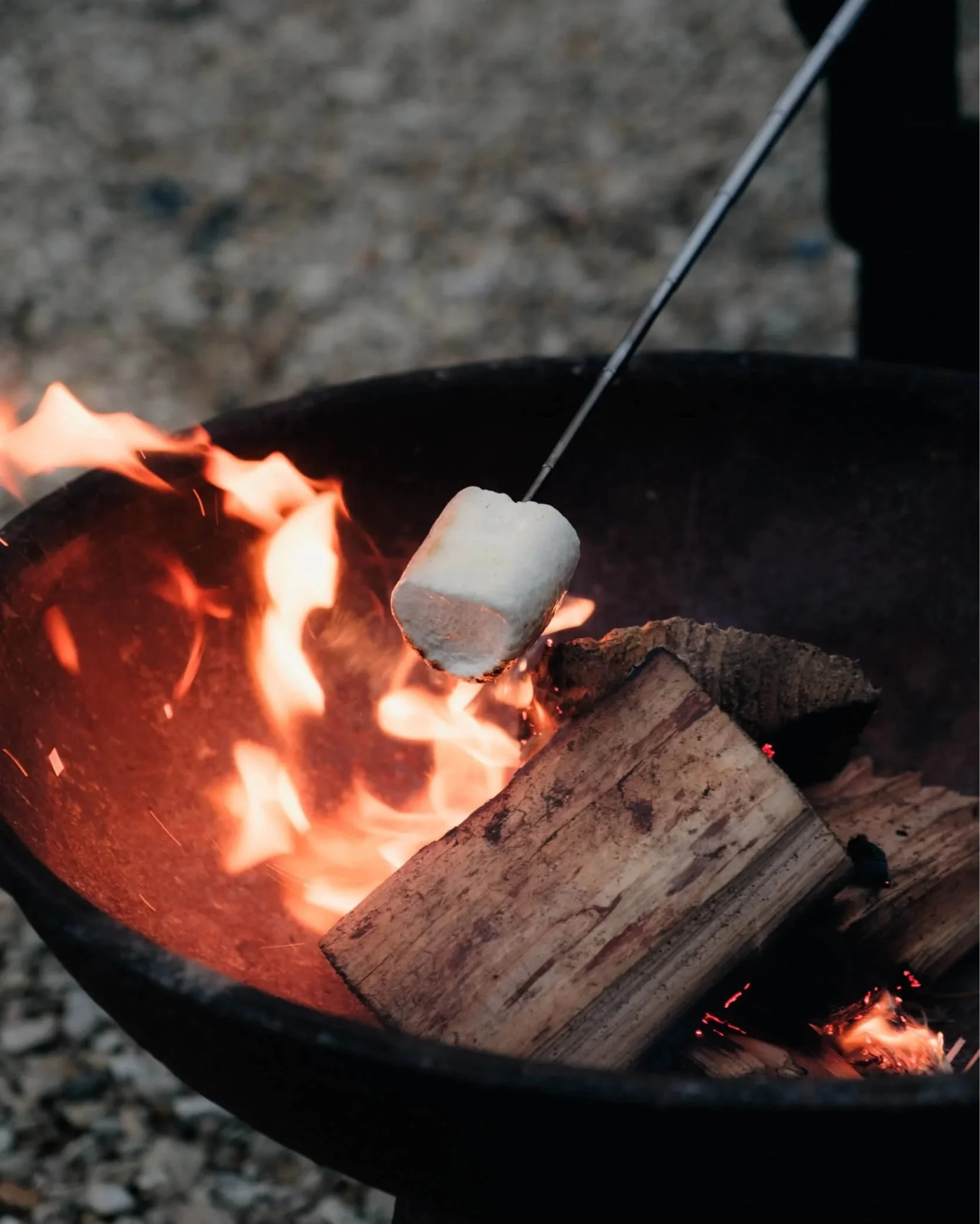 unplugged-cabin-fire-marshmallow.jpg