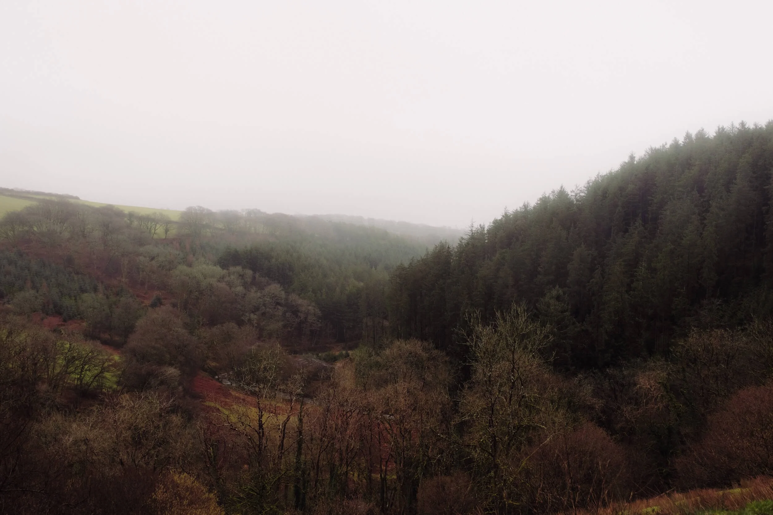 unplugged-cabin-view.jpg