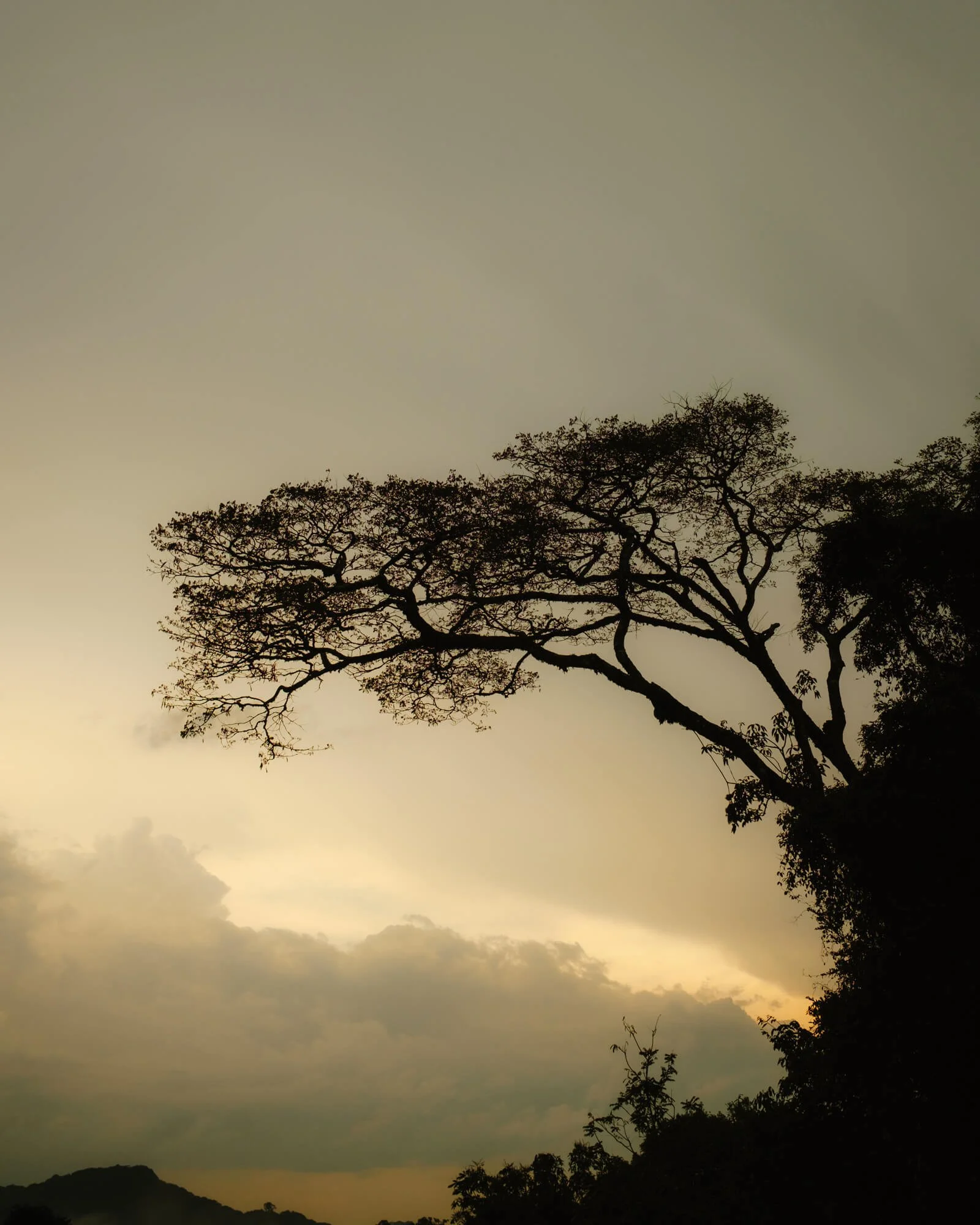 rwanda-6.jpg
