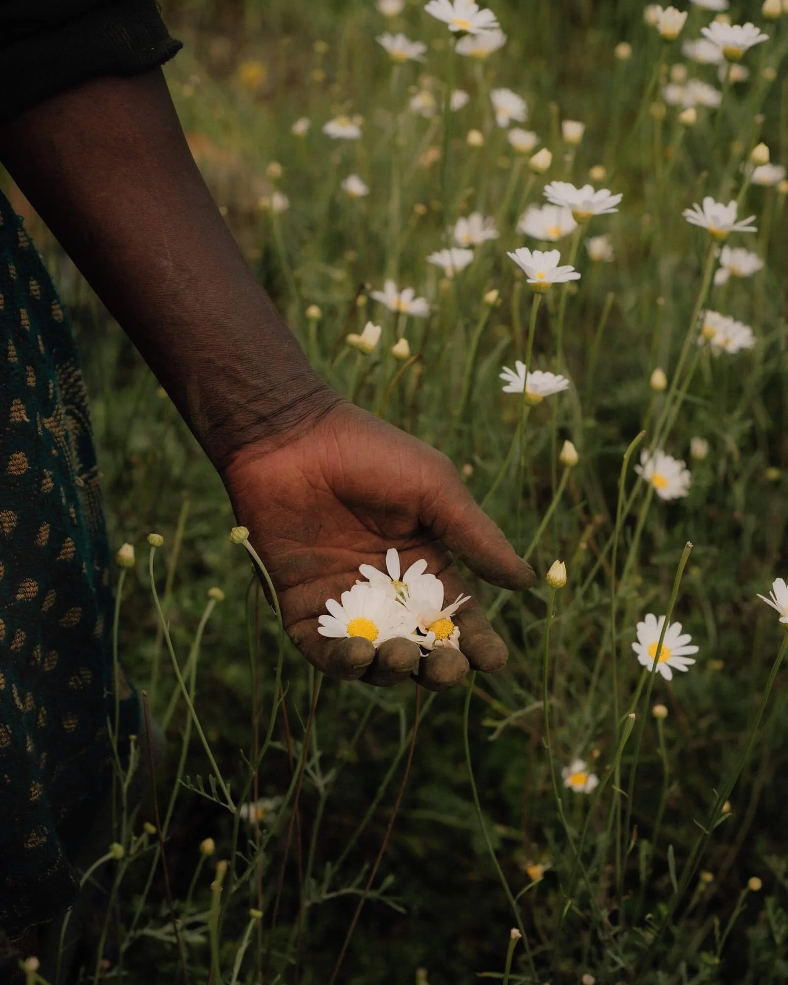 rwanda-3.jpg