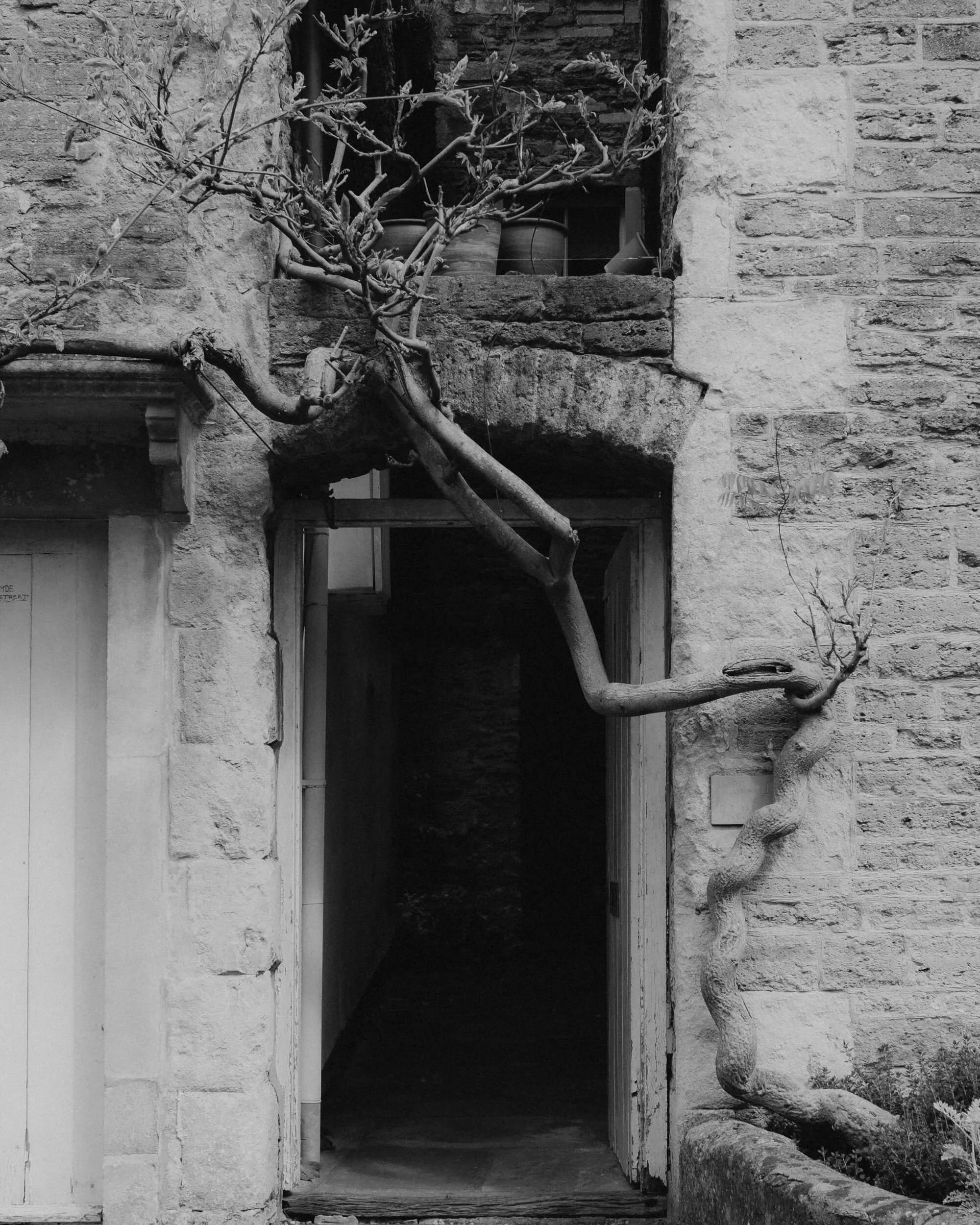bruton-10.jpg